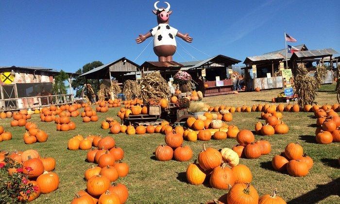 YesterLand Farm