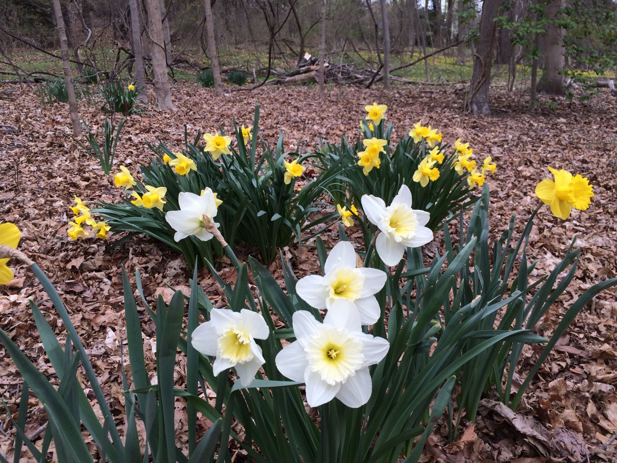 Rye Nature Center