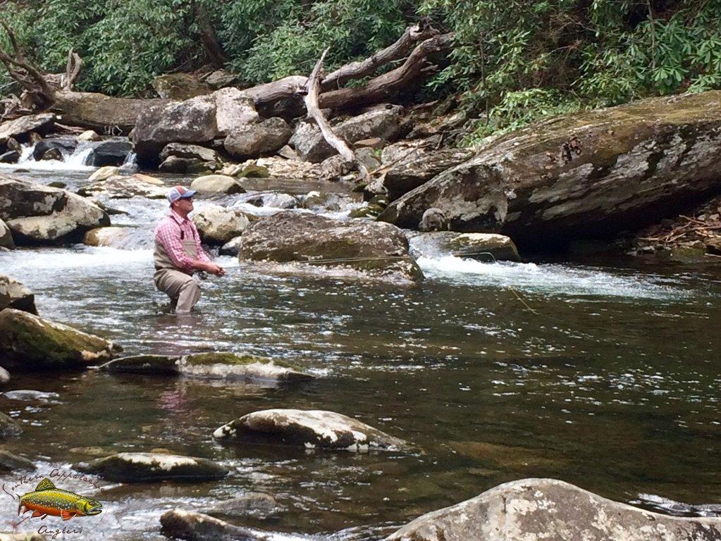 Southern Appalachian Anglers