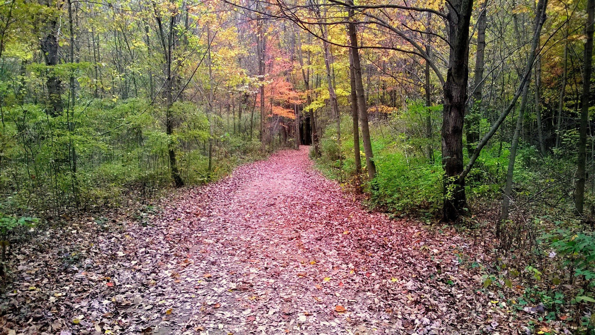 Silver Creek Metro Park