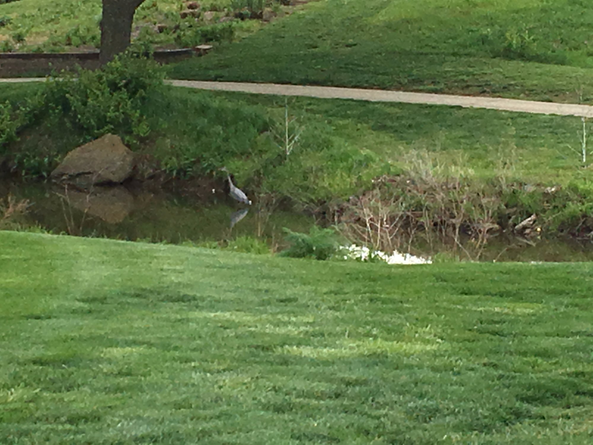 Cypress Ridge Golf Course