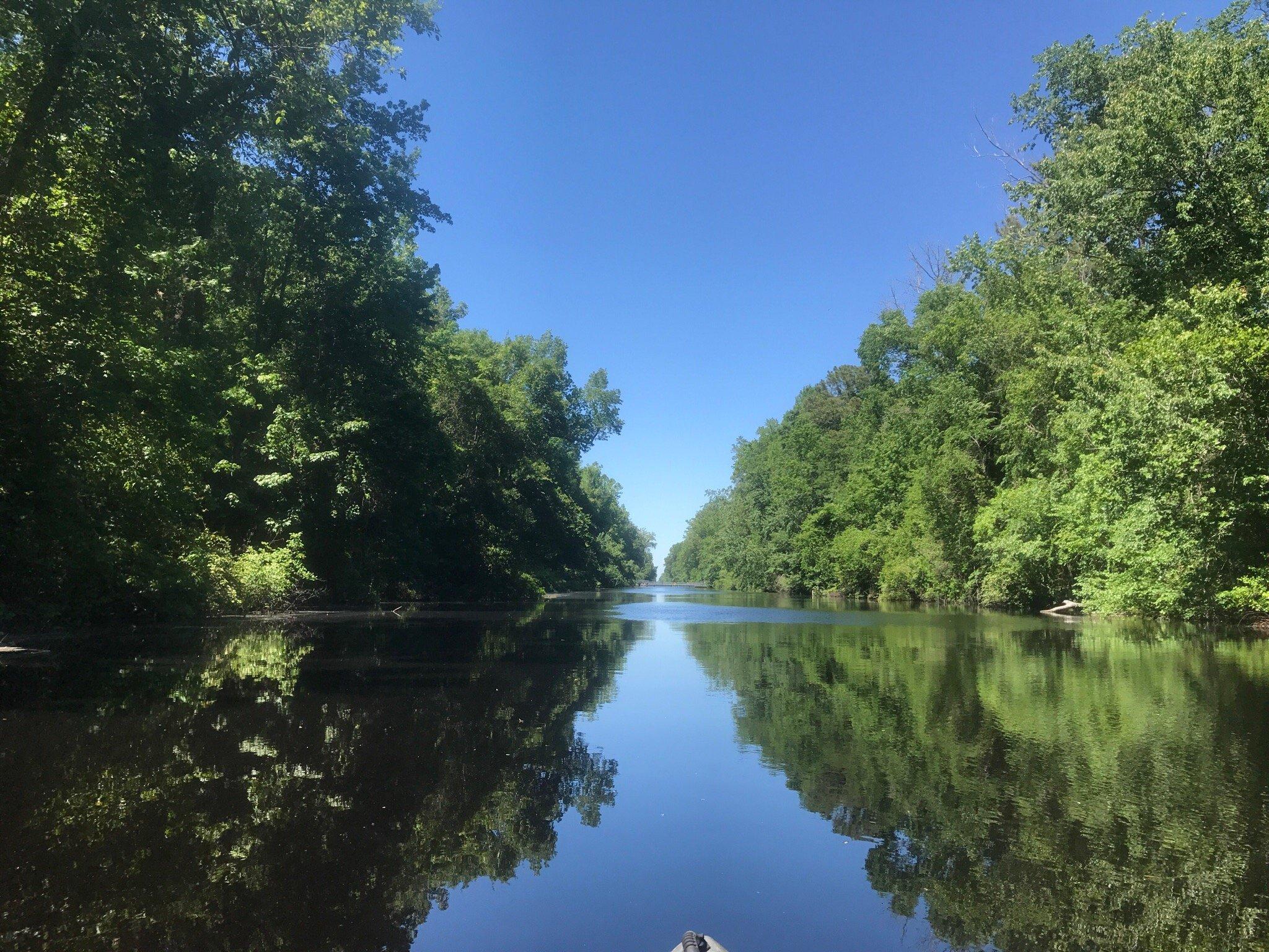 Dismal Swamp State Park