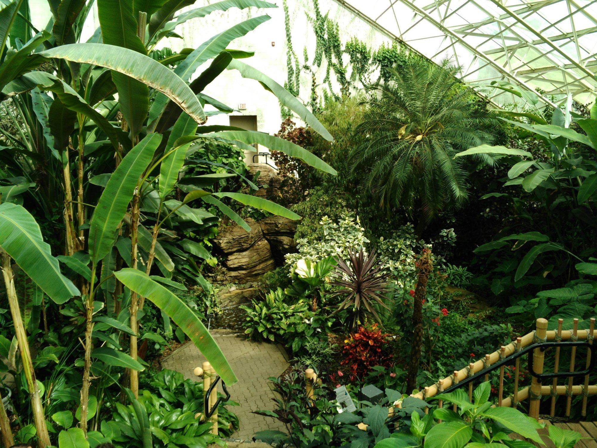 Foellinger-Freimann Botanical Conservatory