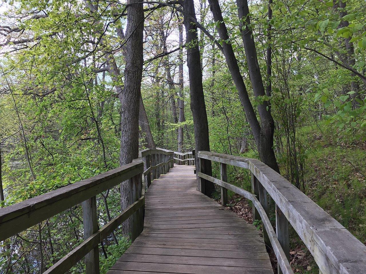 Rattray Marsh Conservation Area