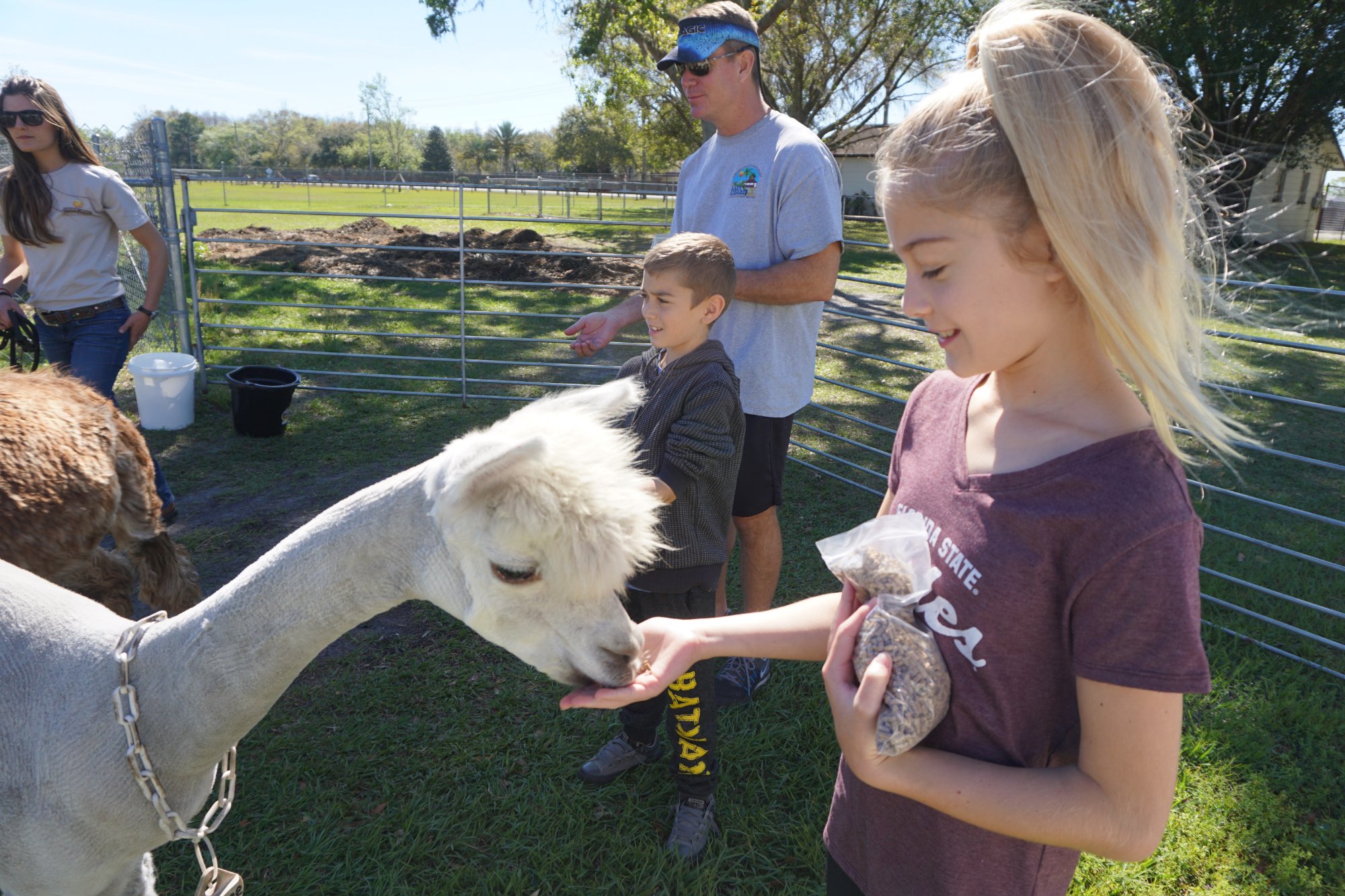 Golden Spirit Alpaca Ranch