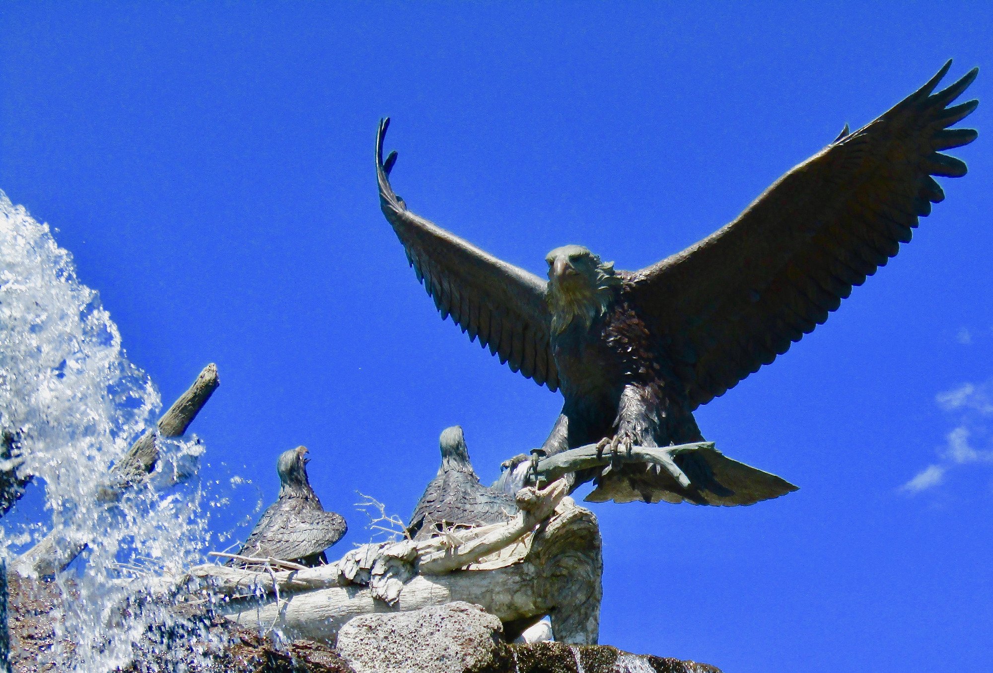 Giant Eagle Waterfall Nest