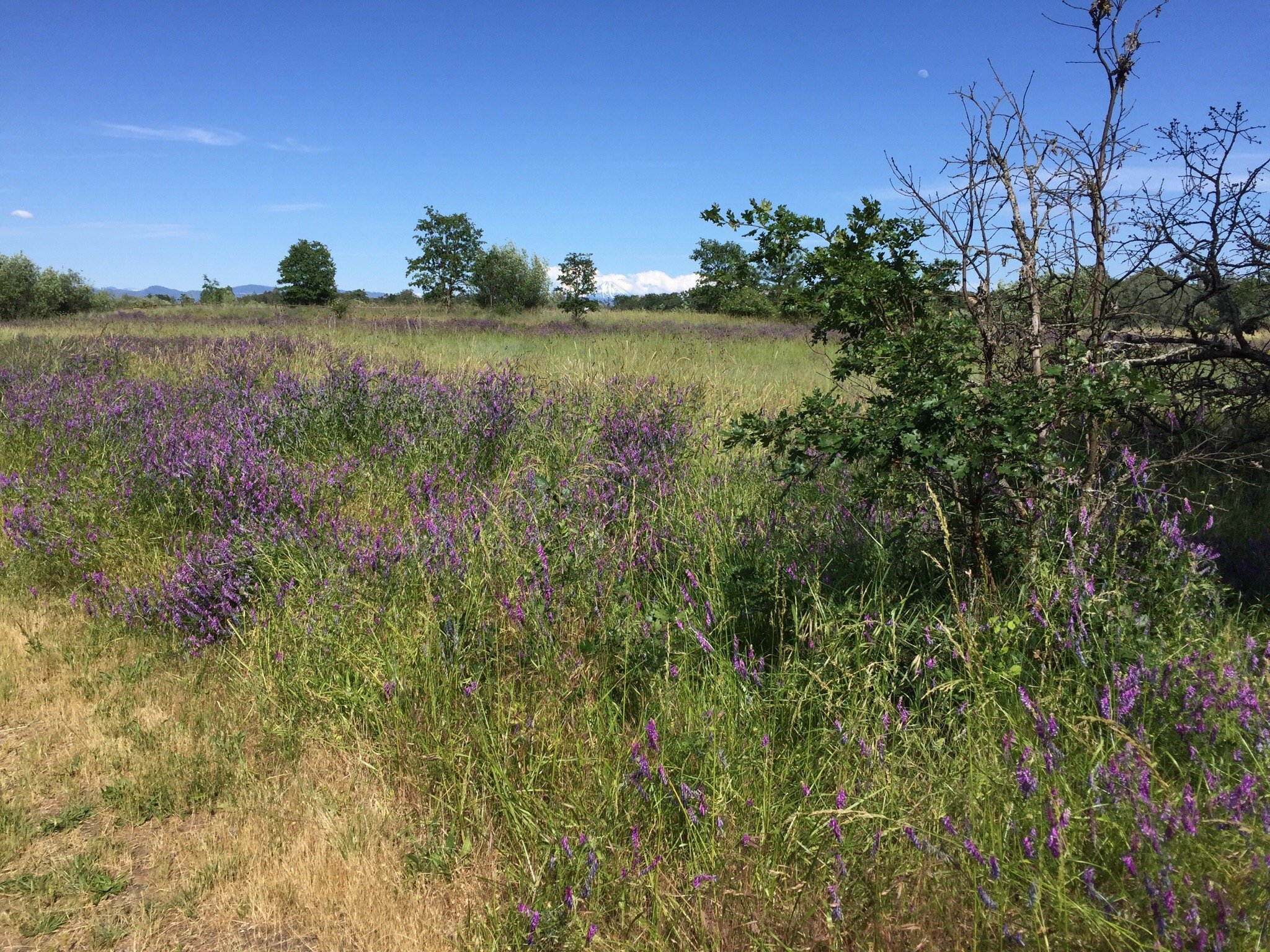 TouVelle State Recreation Site