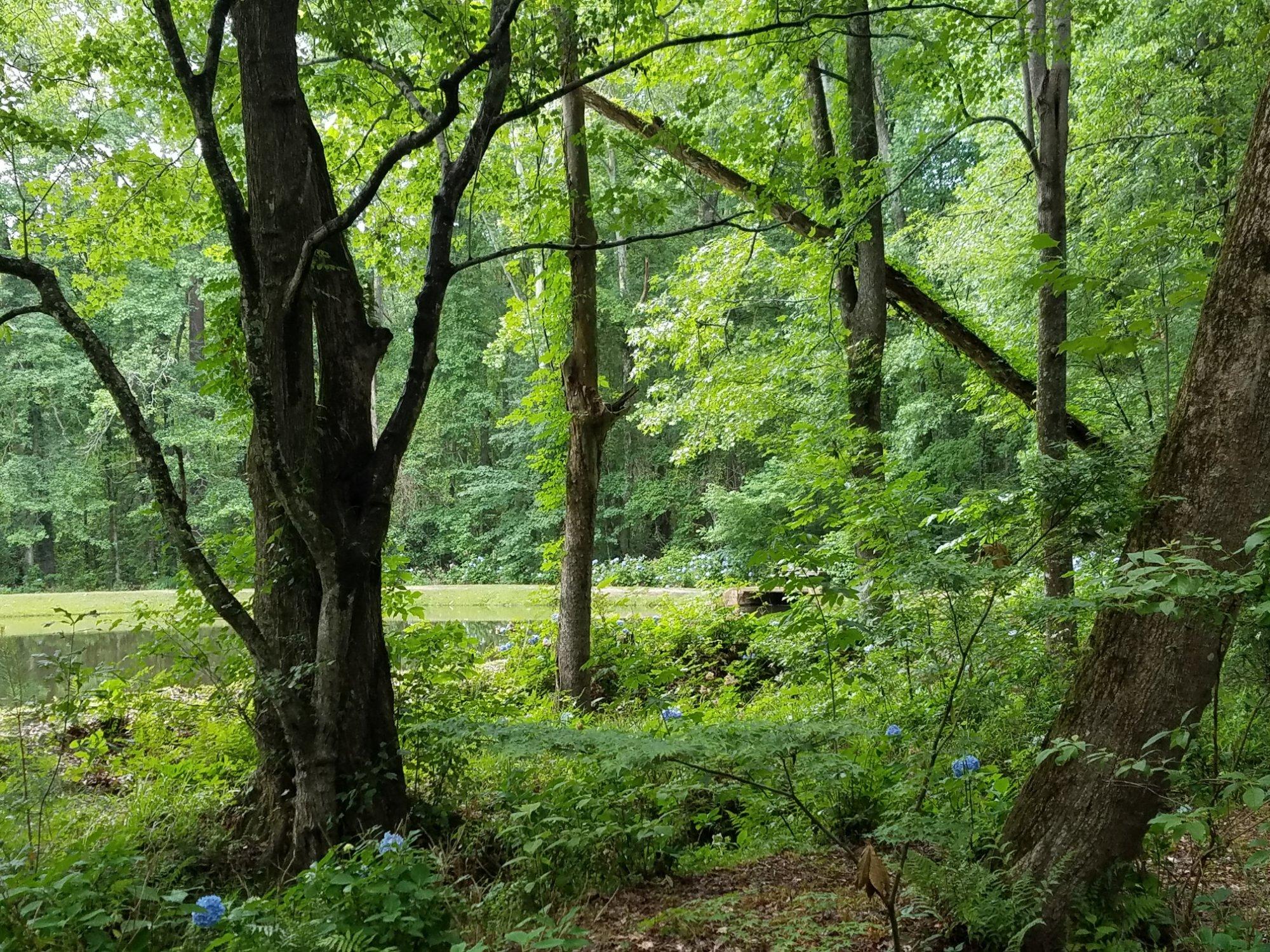 Alabama Nature Center