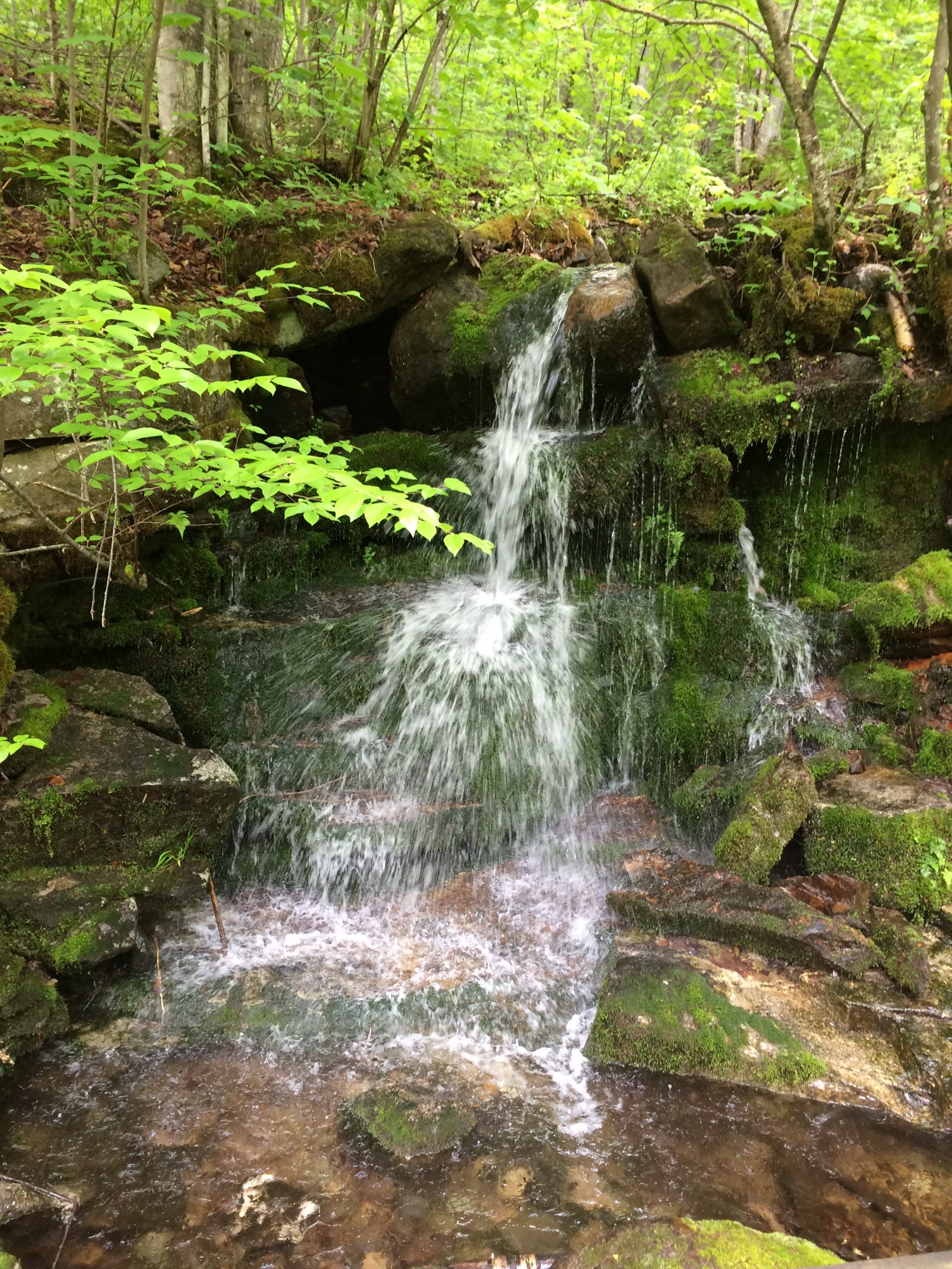 Presidential Rail Trail