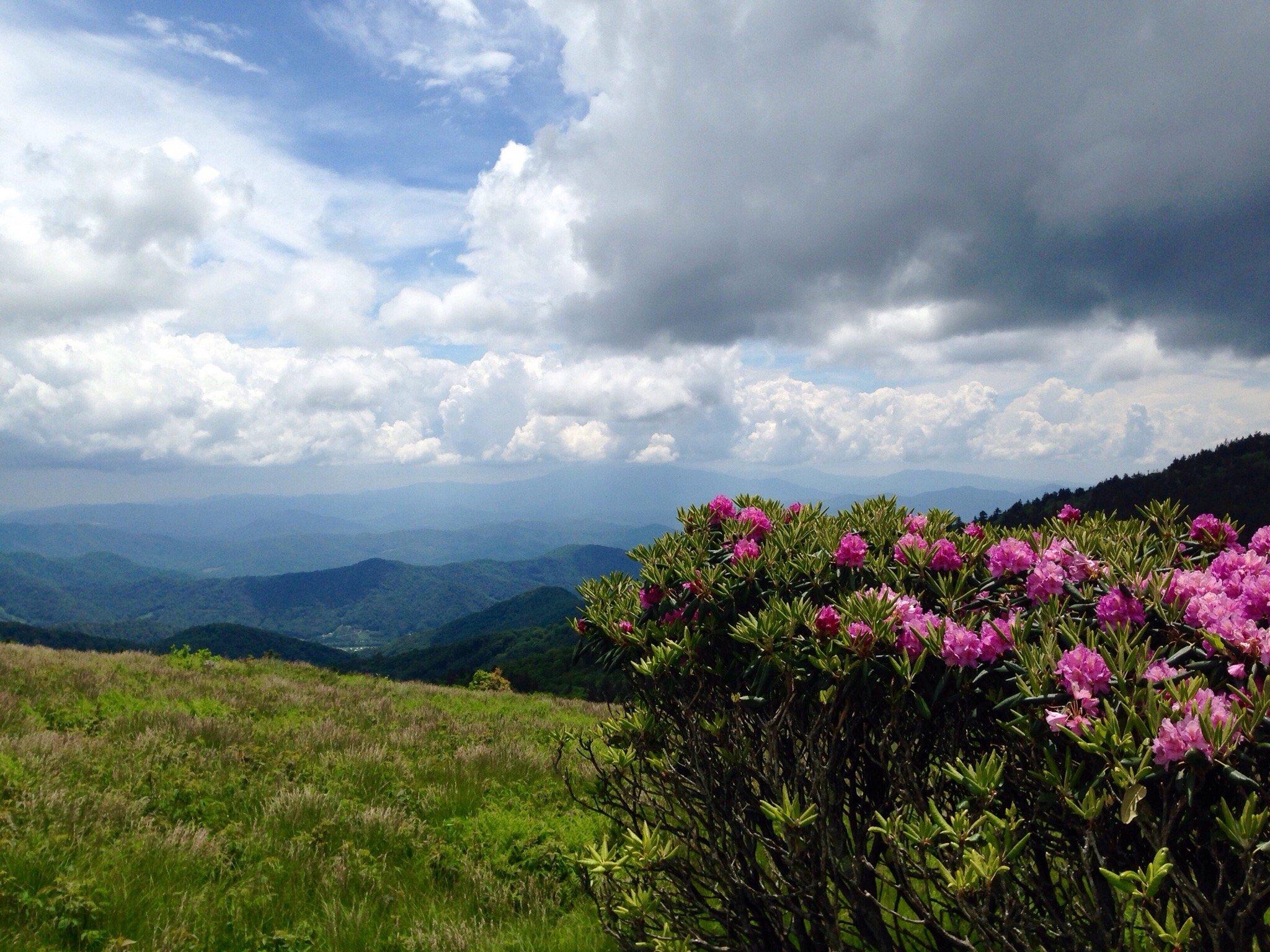 Roan Mountain State Park