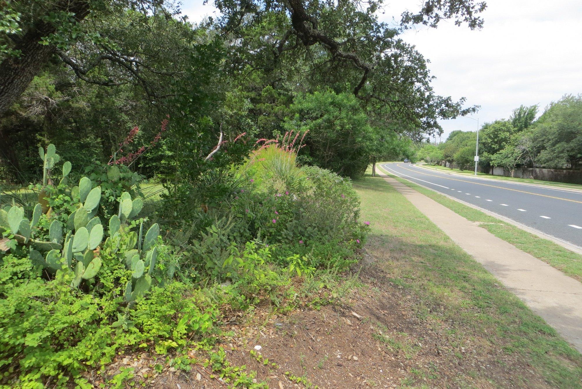 Gaines Creek Park