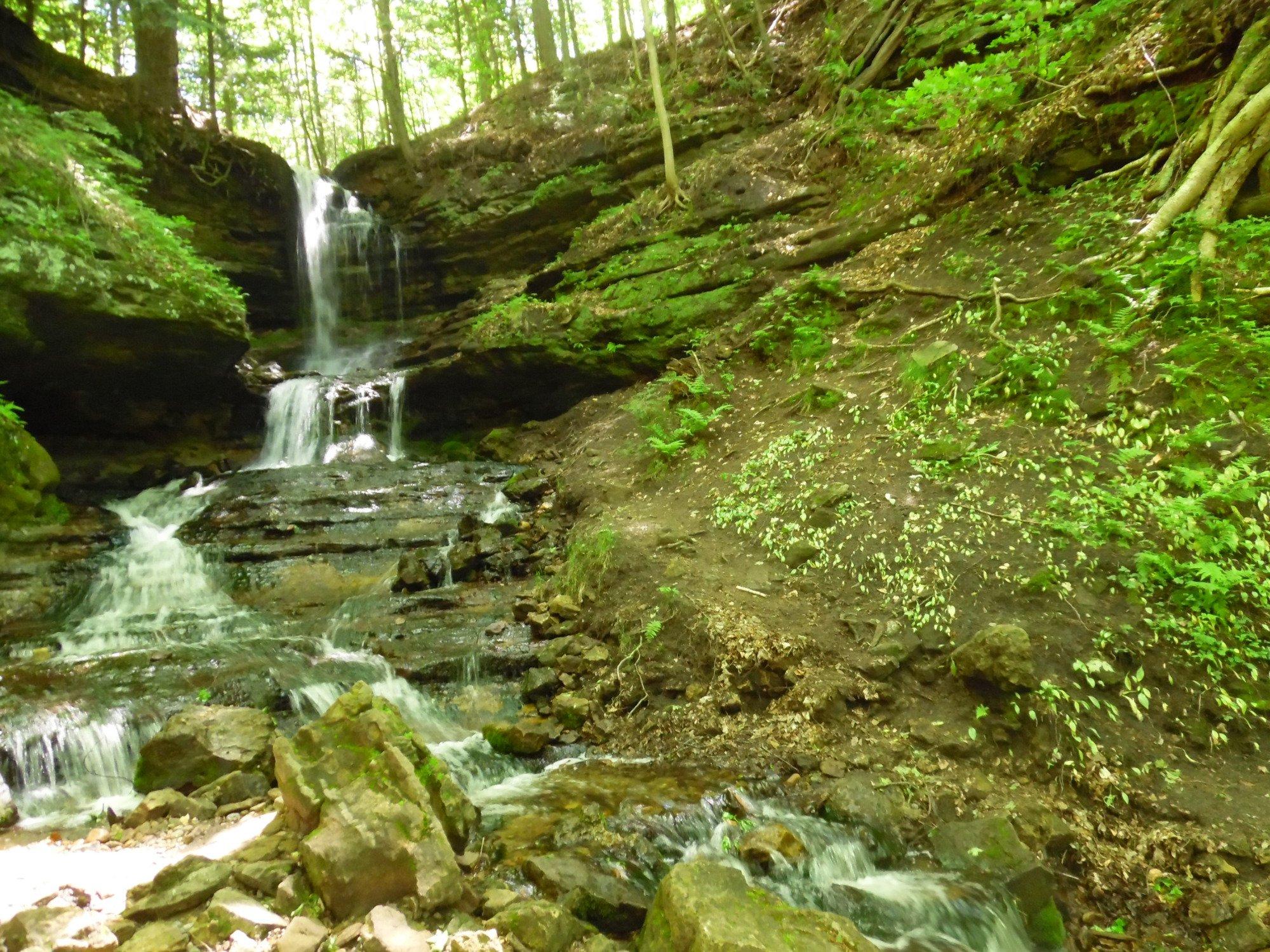 Horseshoe Falls & Gift Shop