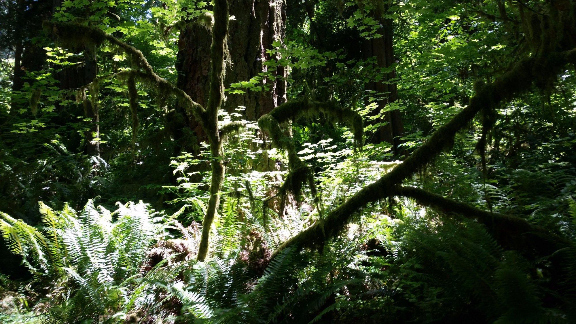 Oxbow Regional Park