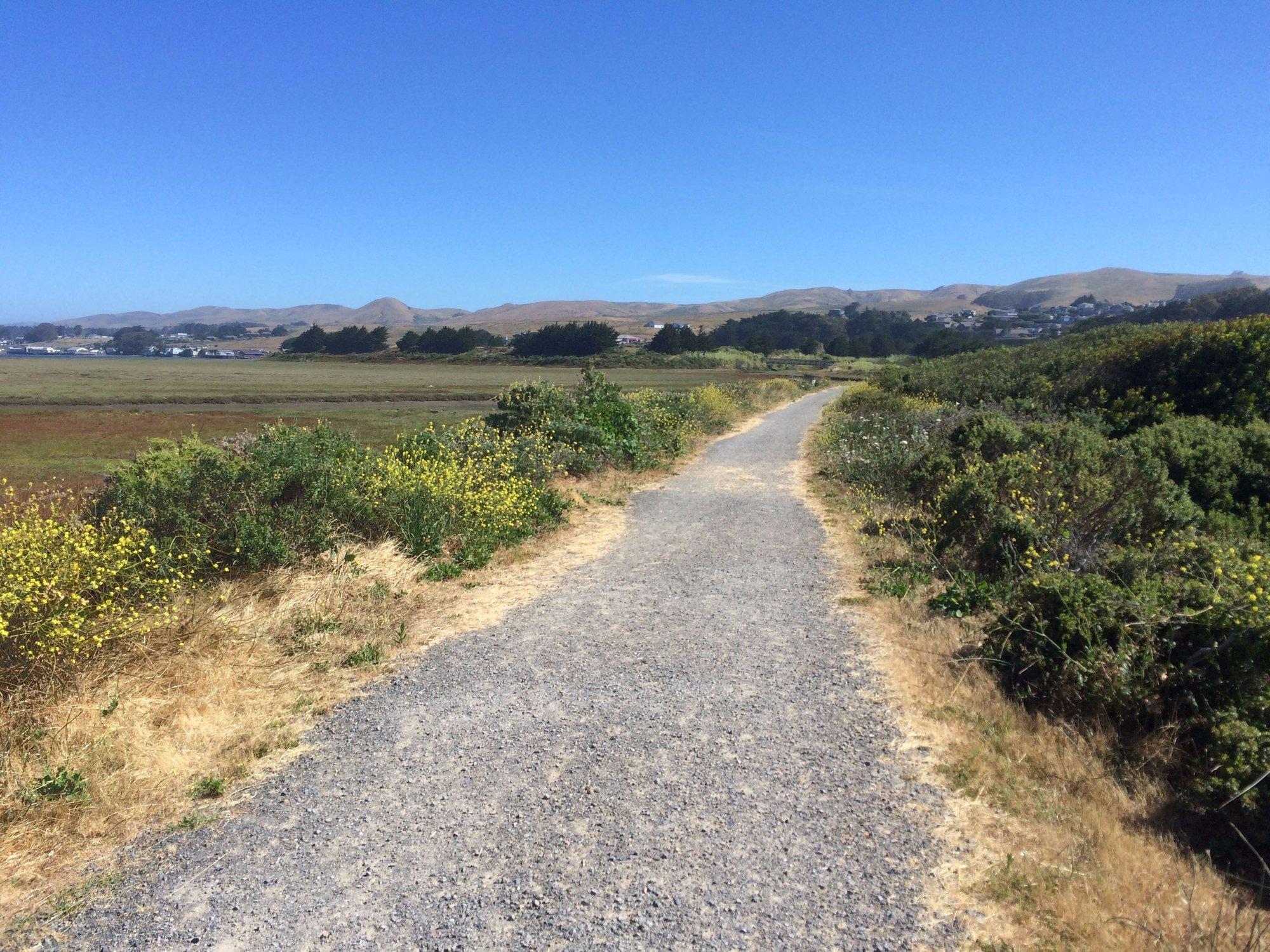 Bird Walk Coastal Access Trail