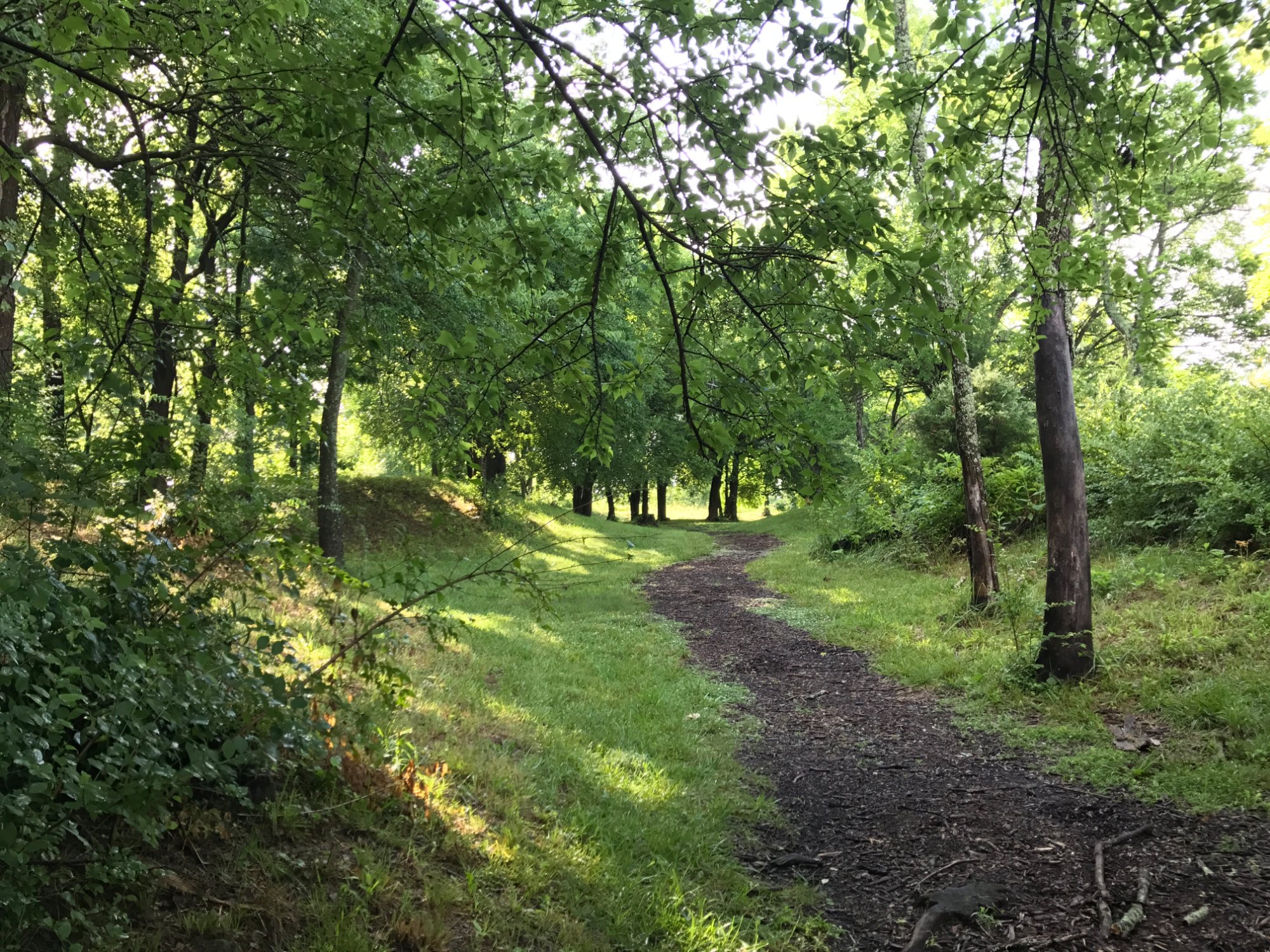 Leslie Morris Park on Fort Hill