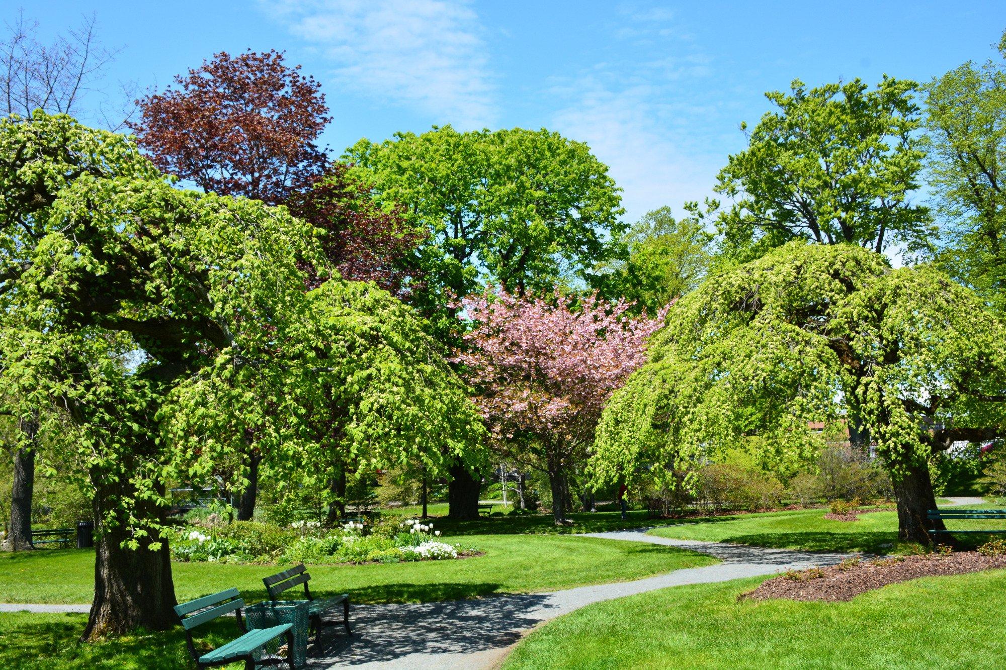 Halifax Public Gardens