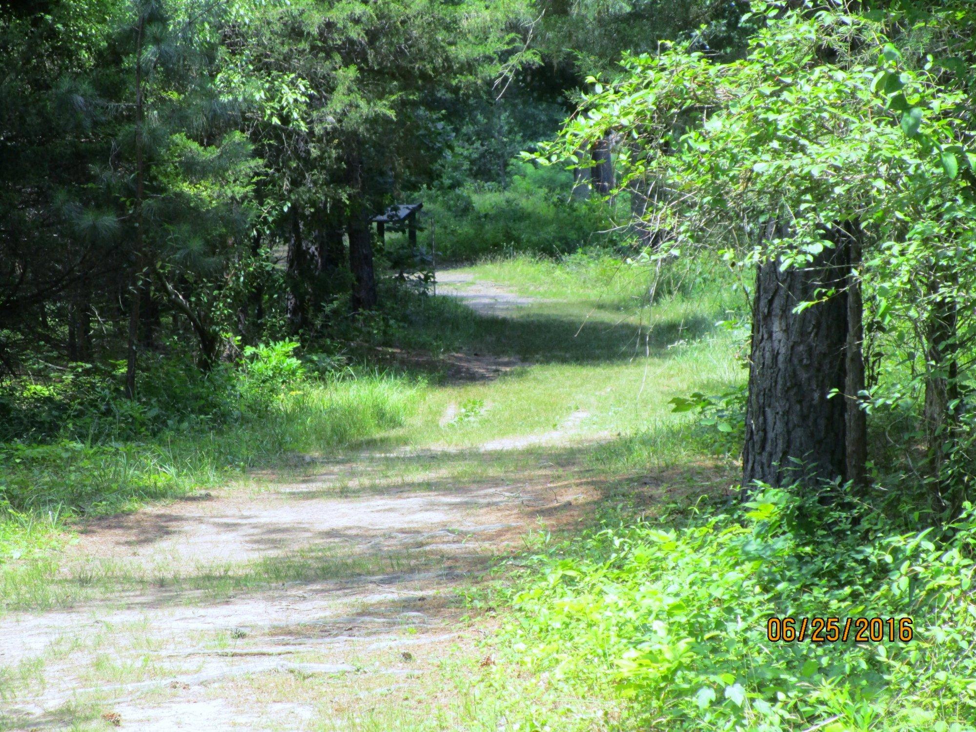 Deep Cut Loop Trail