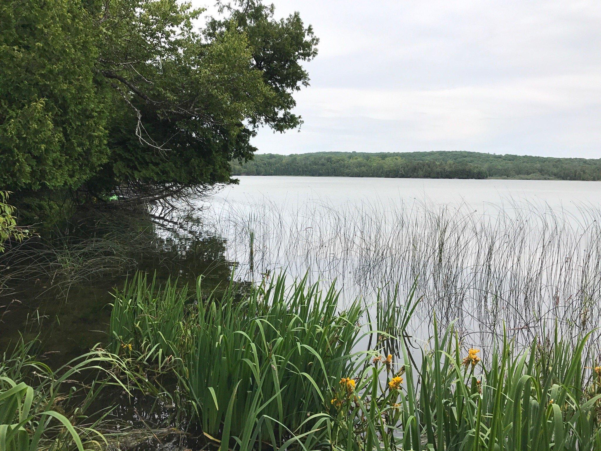 Little Lake Nature Preserve