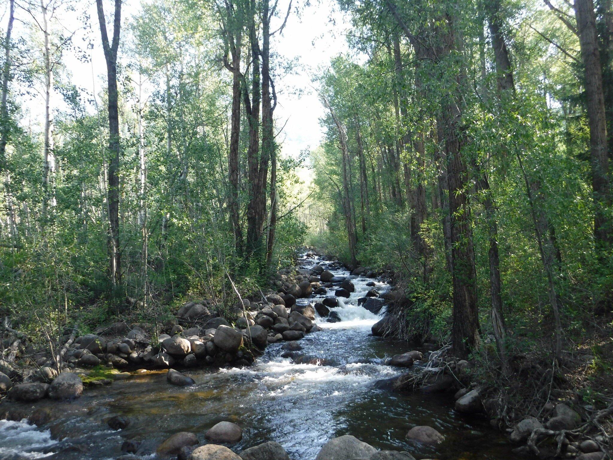 Hunter Creek Trail