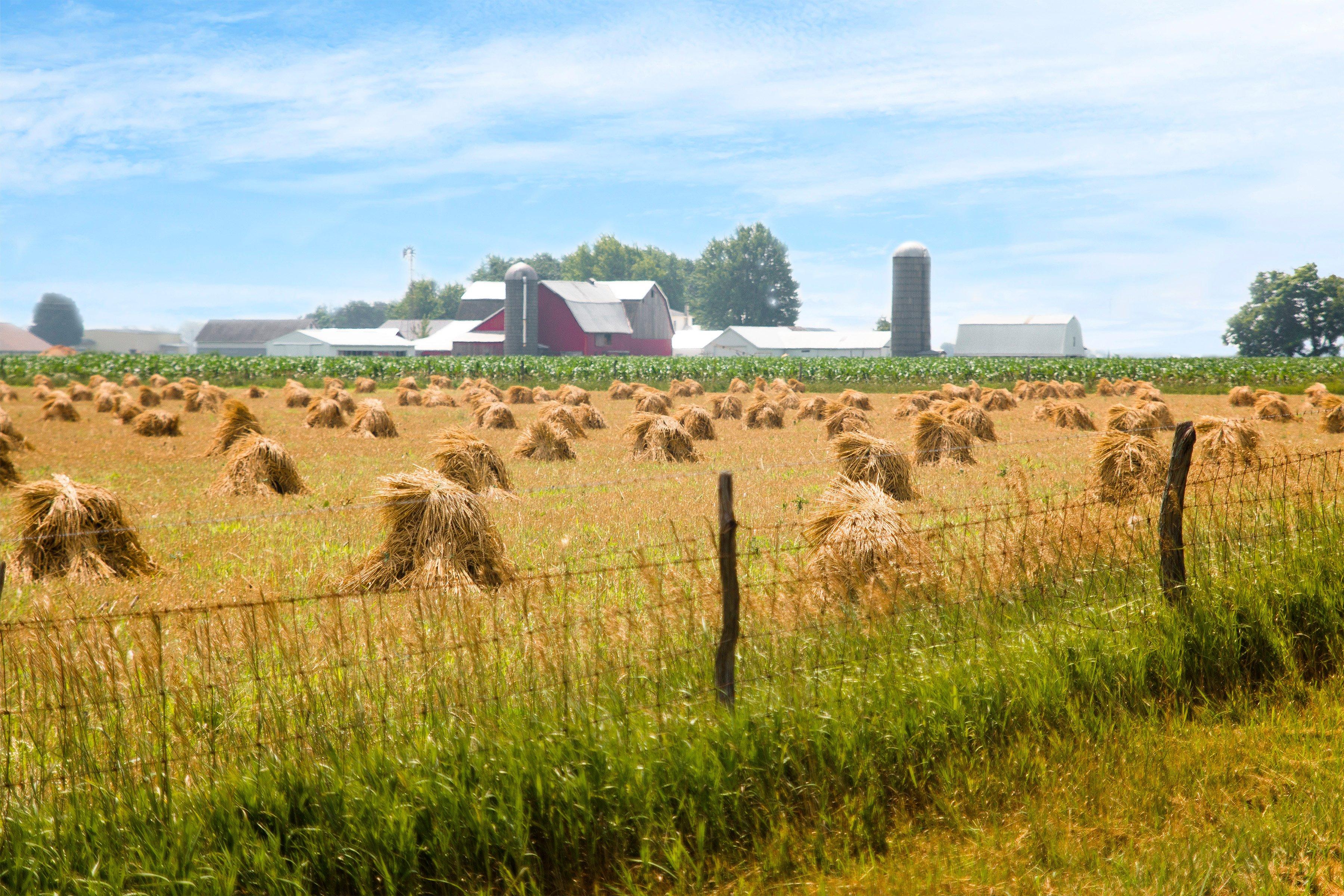 Blue Gate Amish Tours