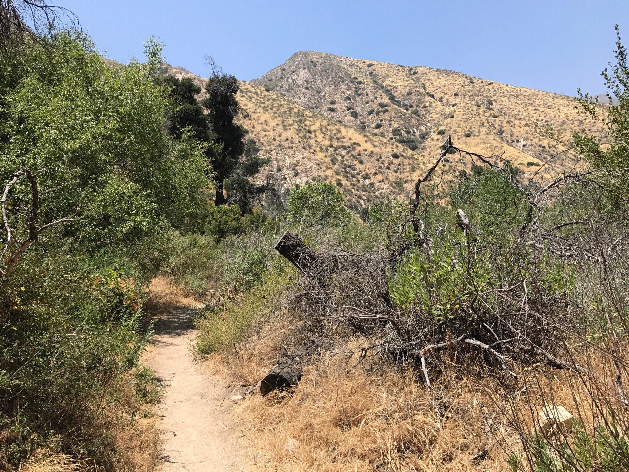 Trail Canyon Falls Trail