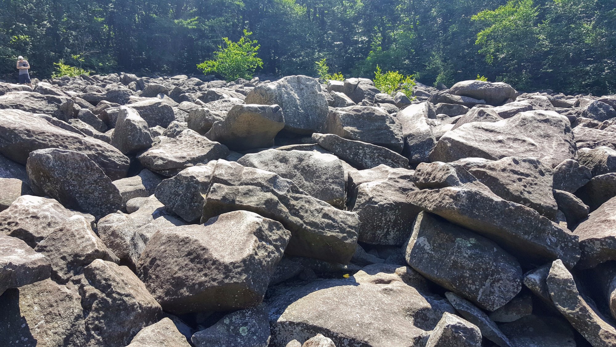 Ringing Rocks County Park