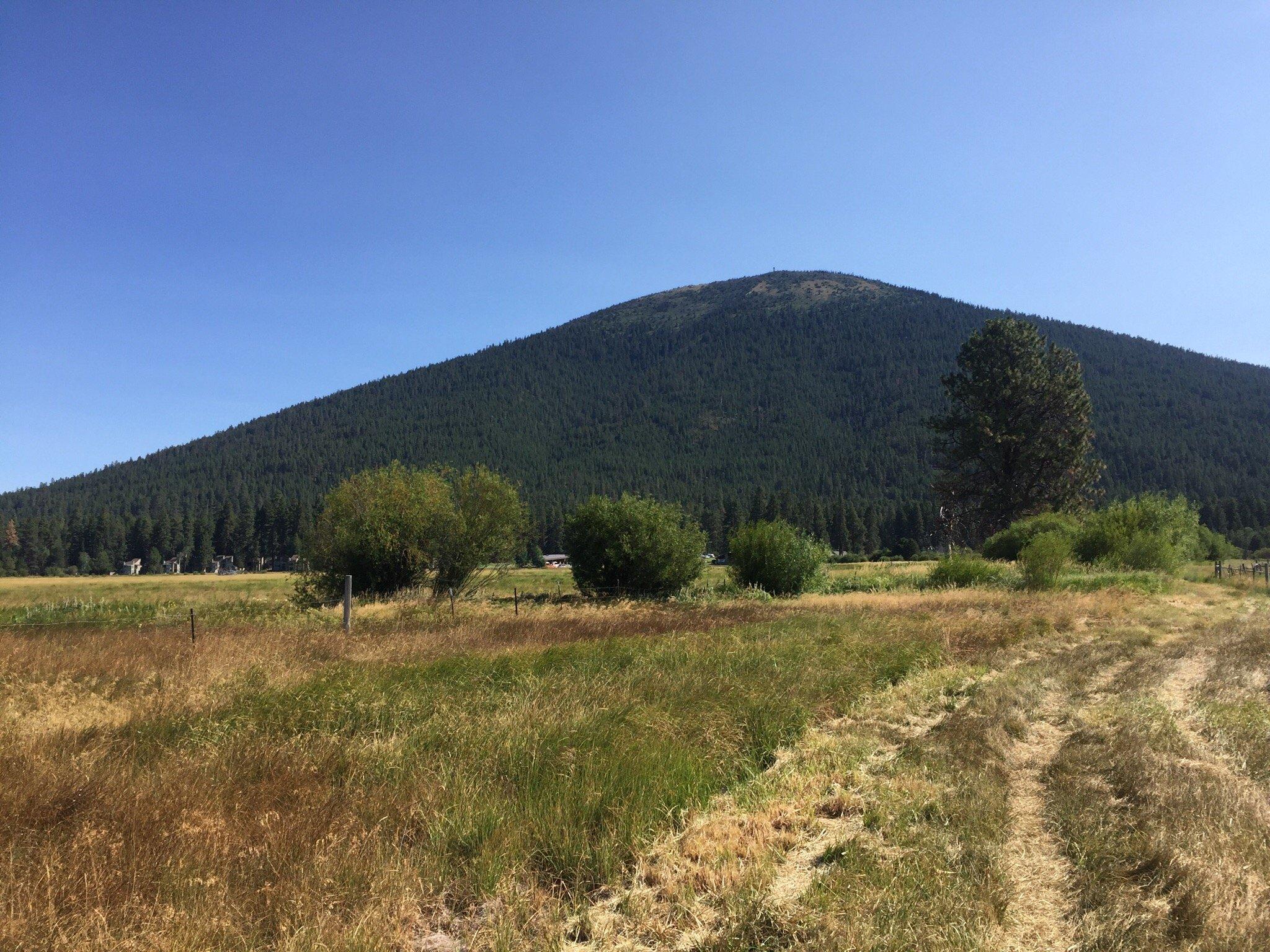 Black Butte Resort