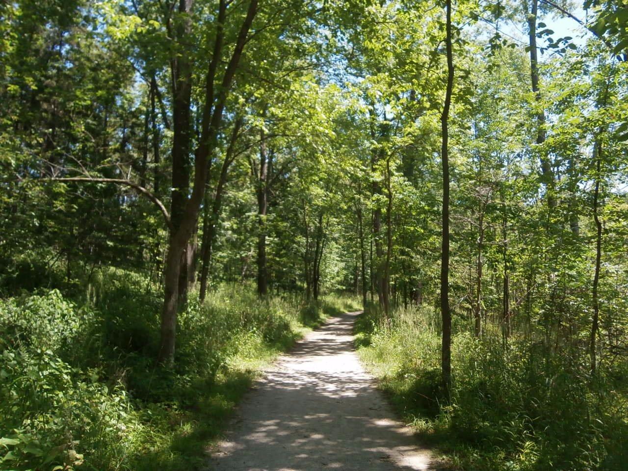 West Bloomfield Woods Nature Preserve And Nature Trail