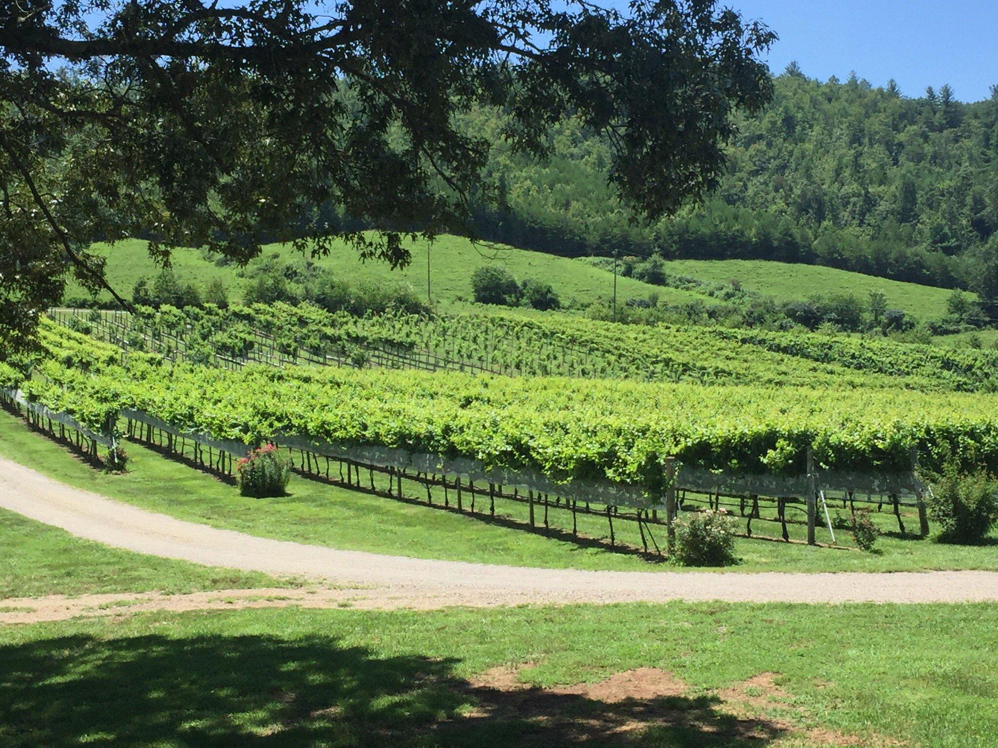 Nottely River Valley Vineyards