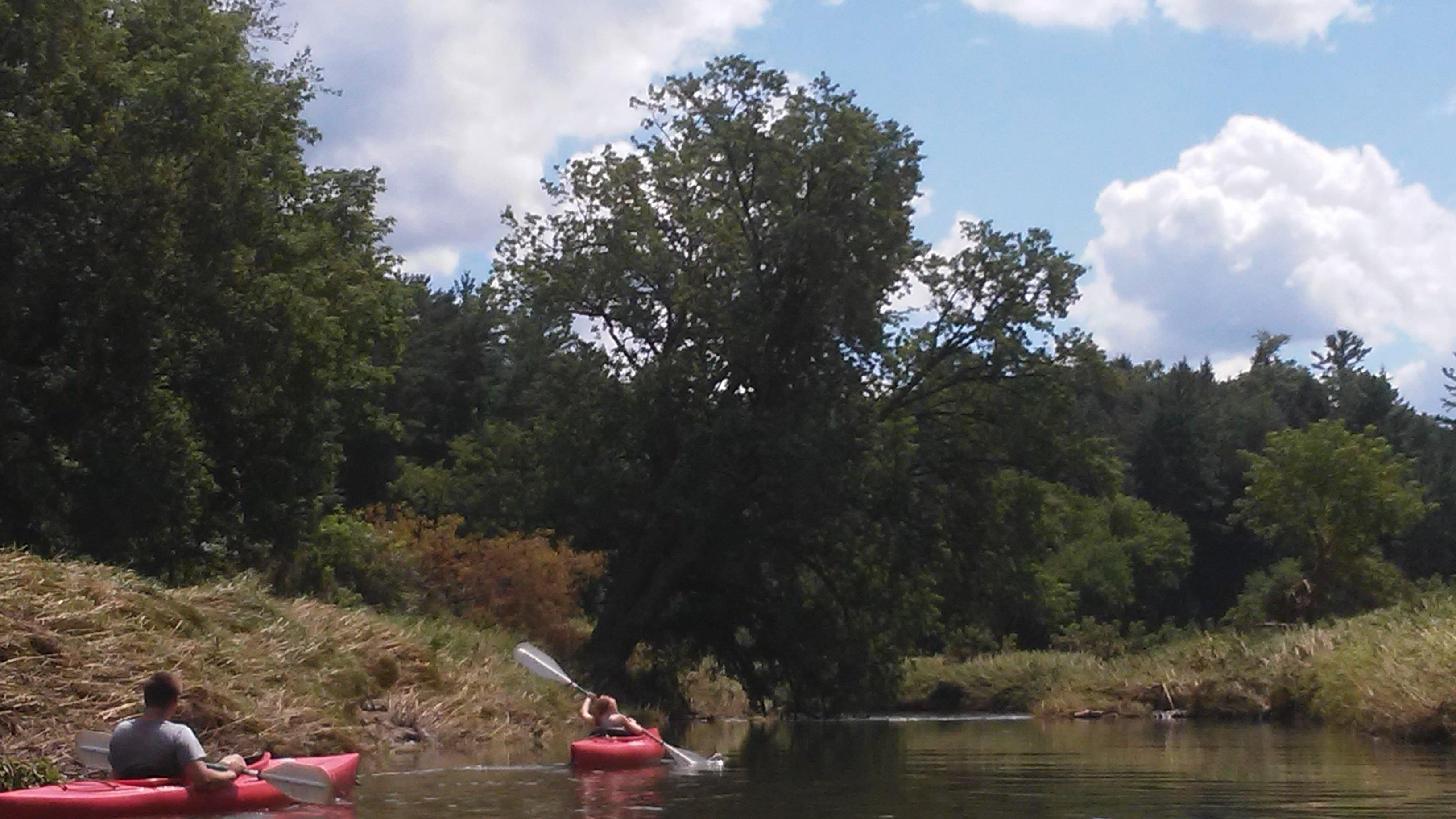 Kickapoo Wild Adventure