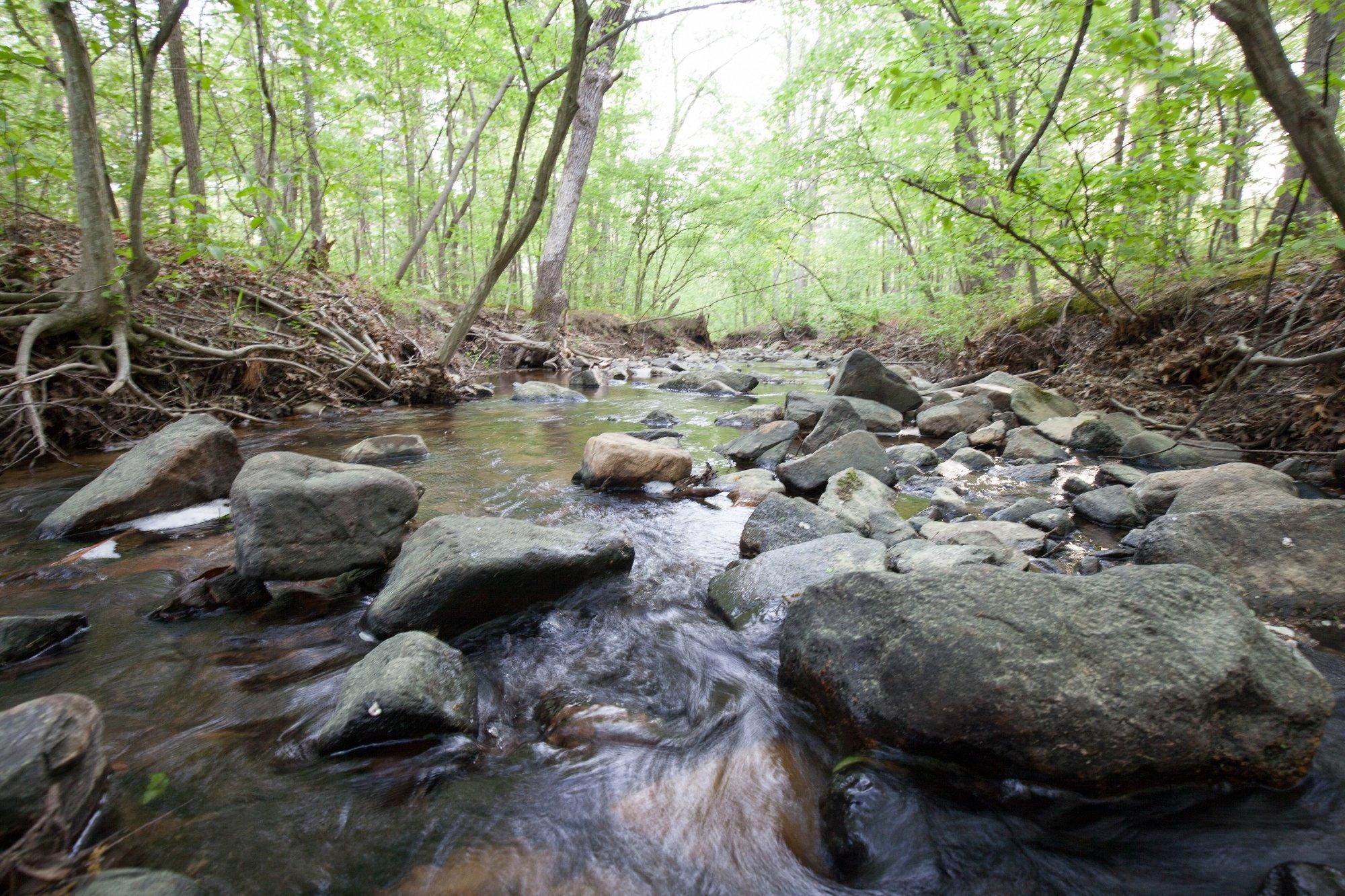 Hawn State Park