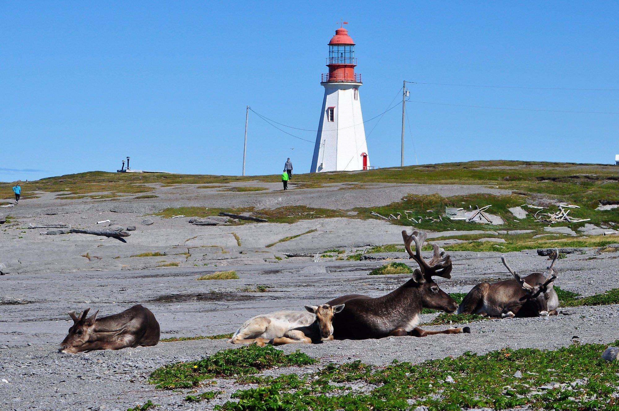 Port au Choix National Historic Site of Canada