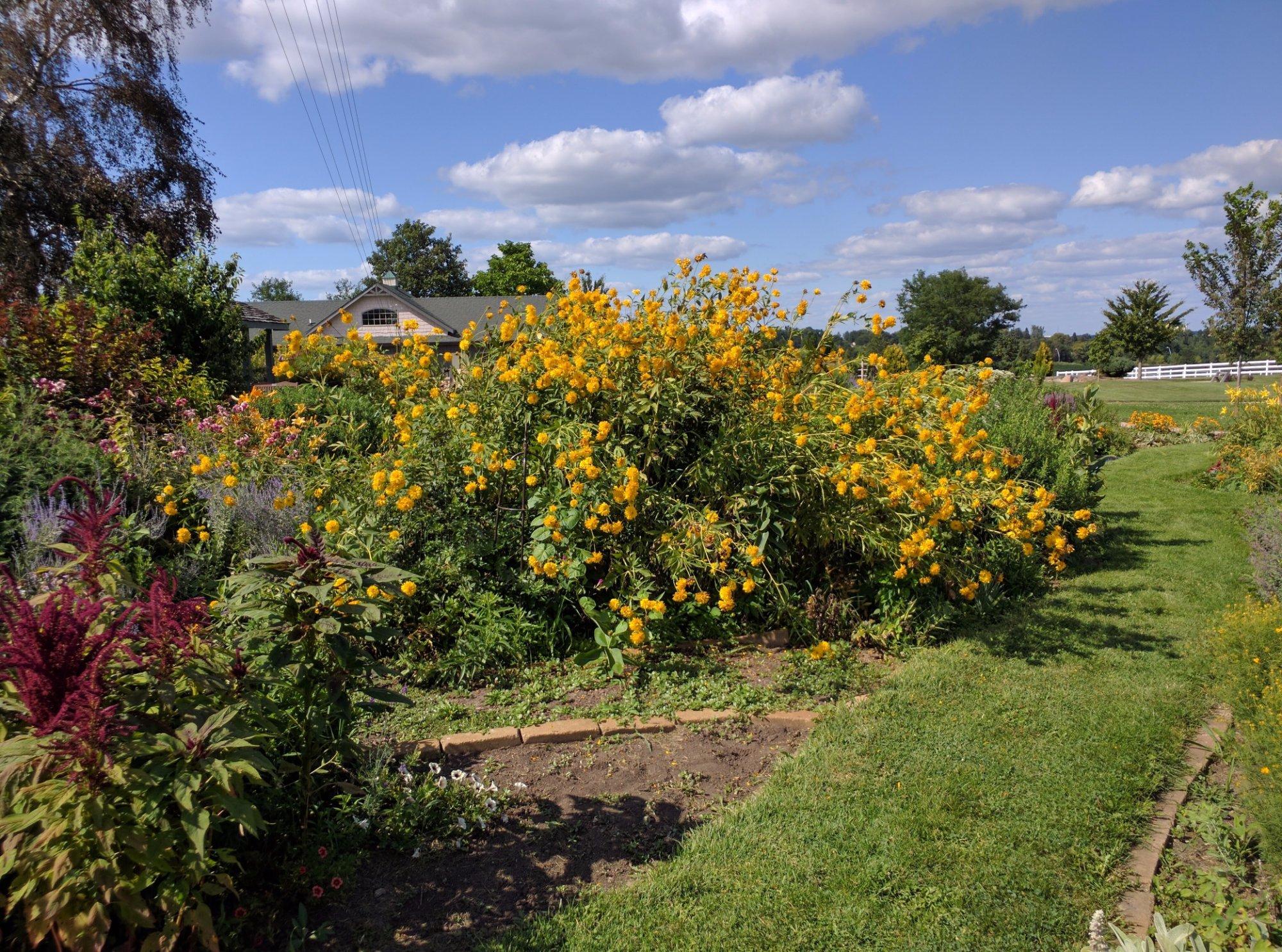 Cedar Valley Arboretum & Botanic Gardens