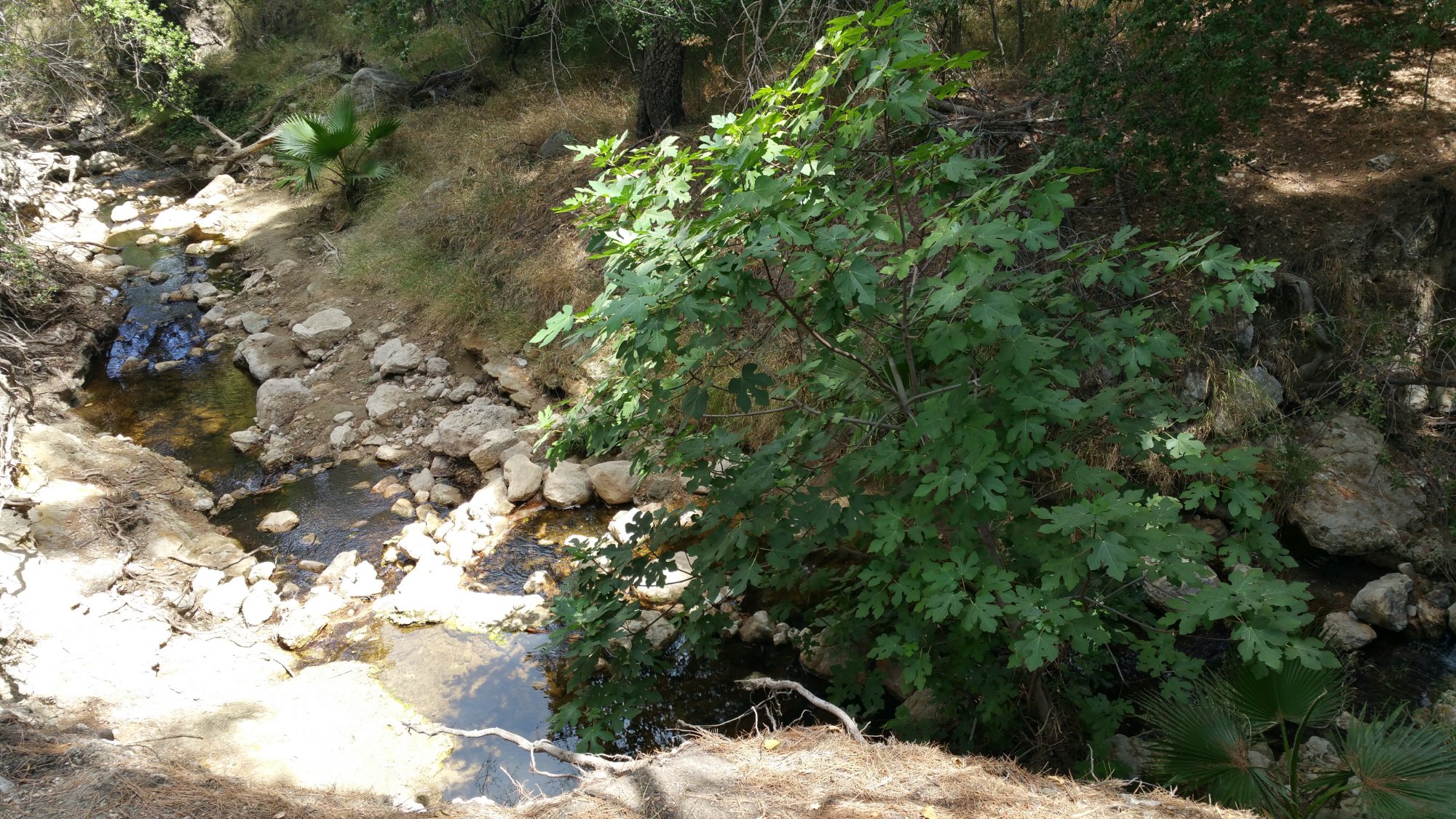 Limekiln Canyon Park