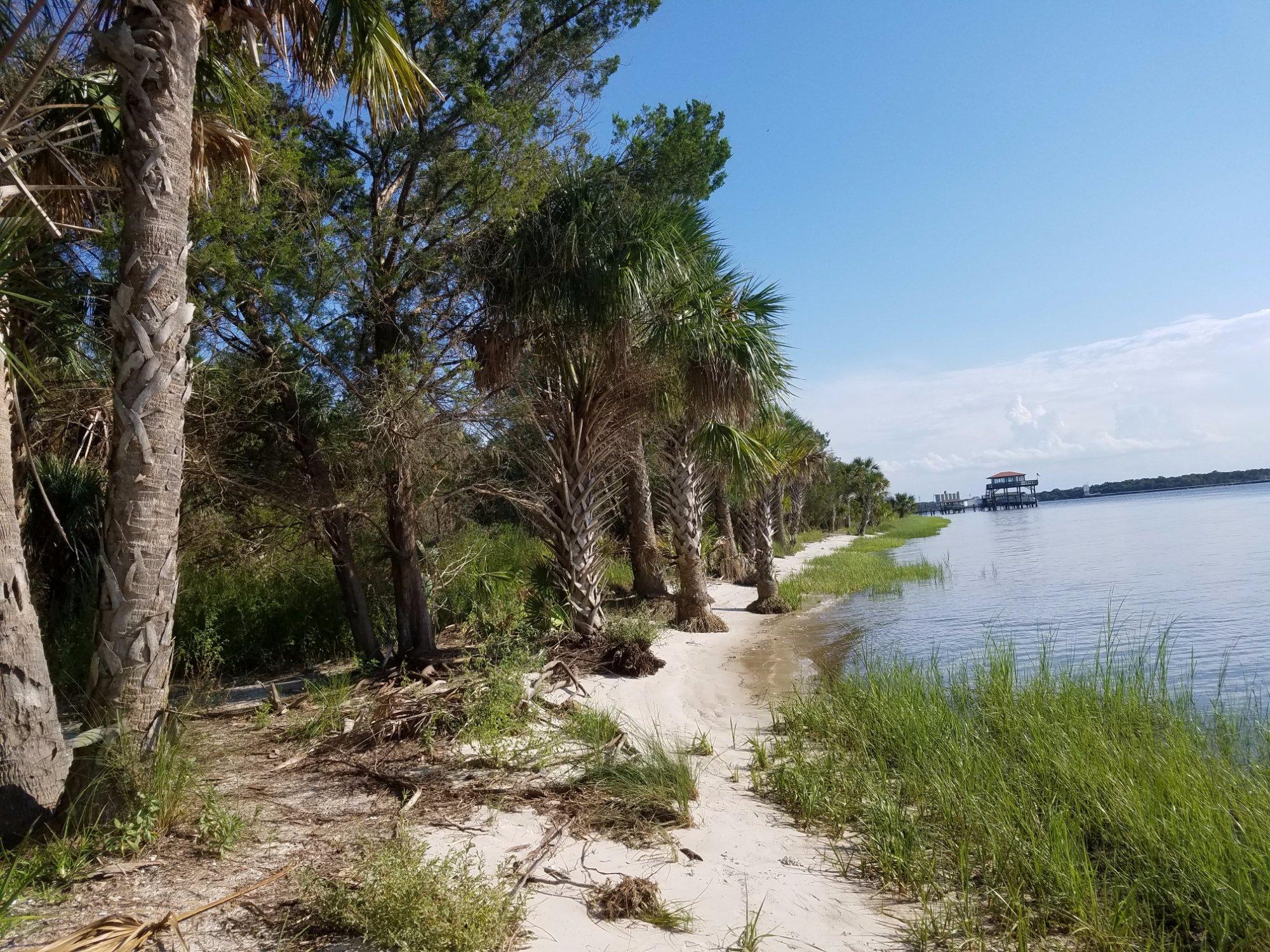 Reddie Point Preserve