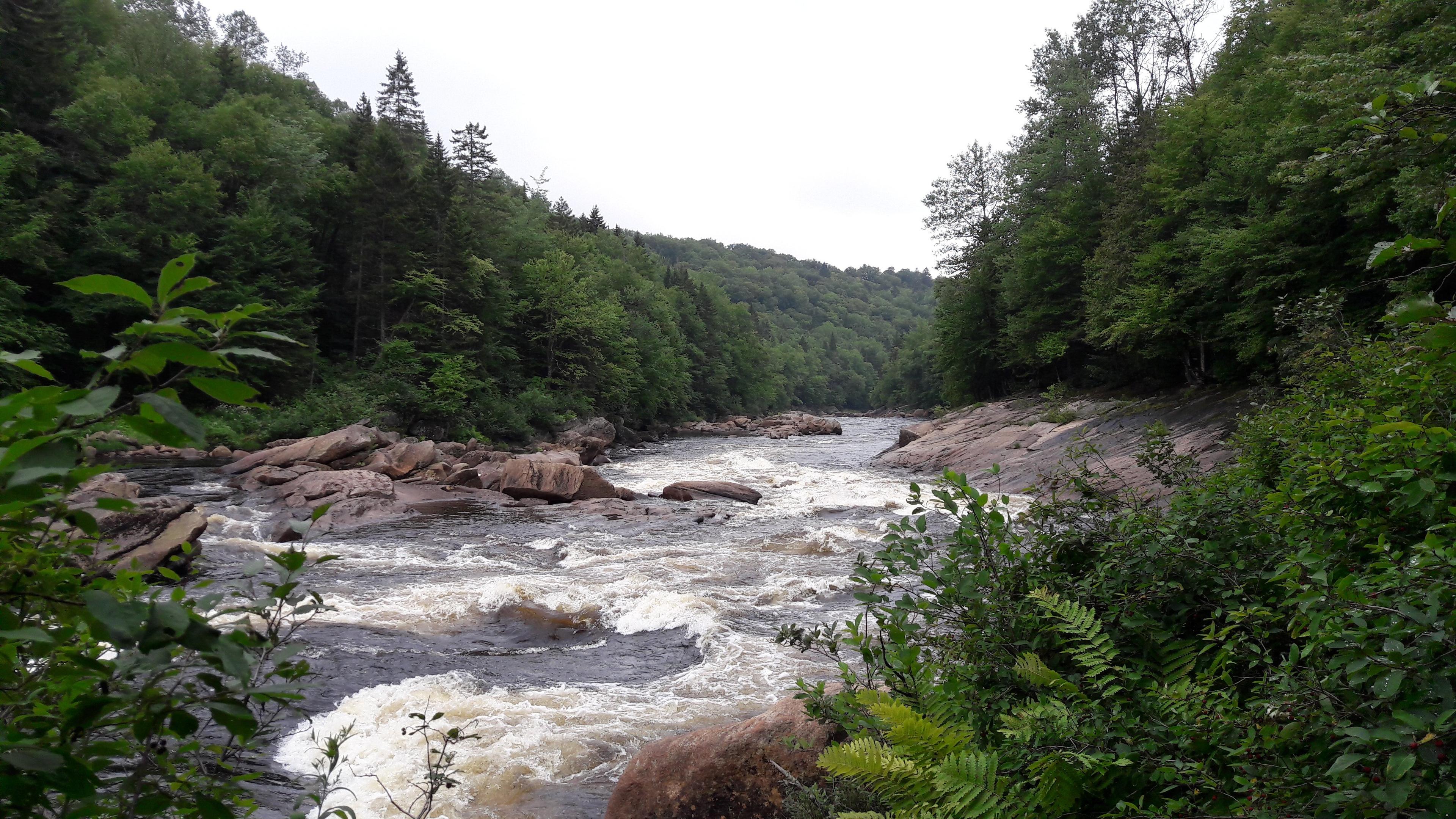 Excursion Jacques-Cartier