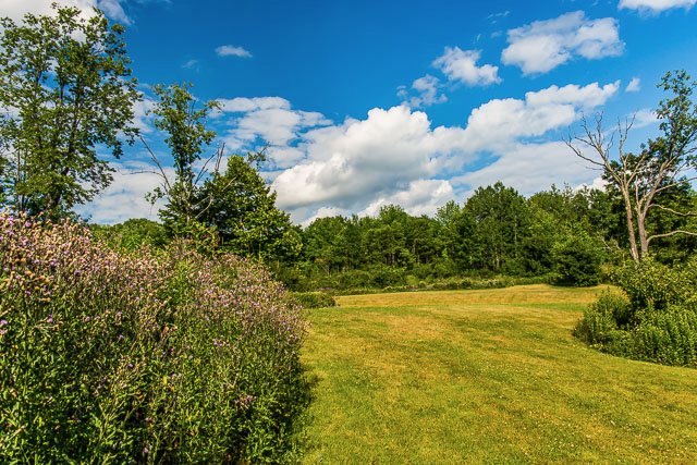 Lackawanna State Park