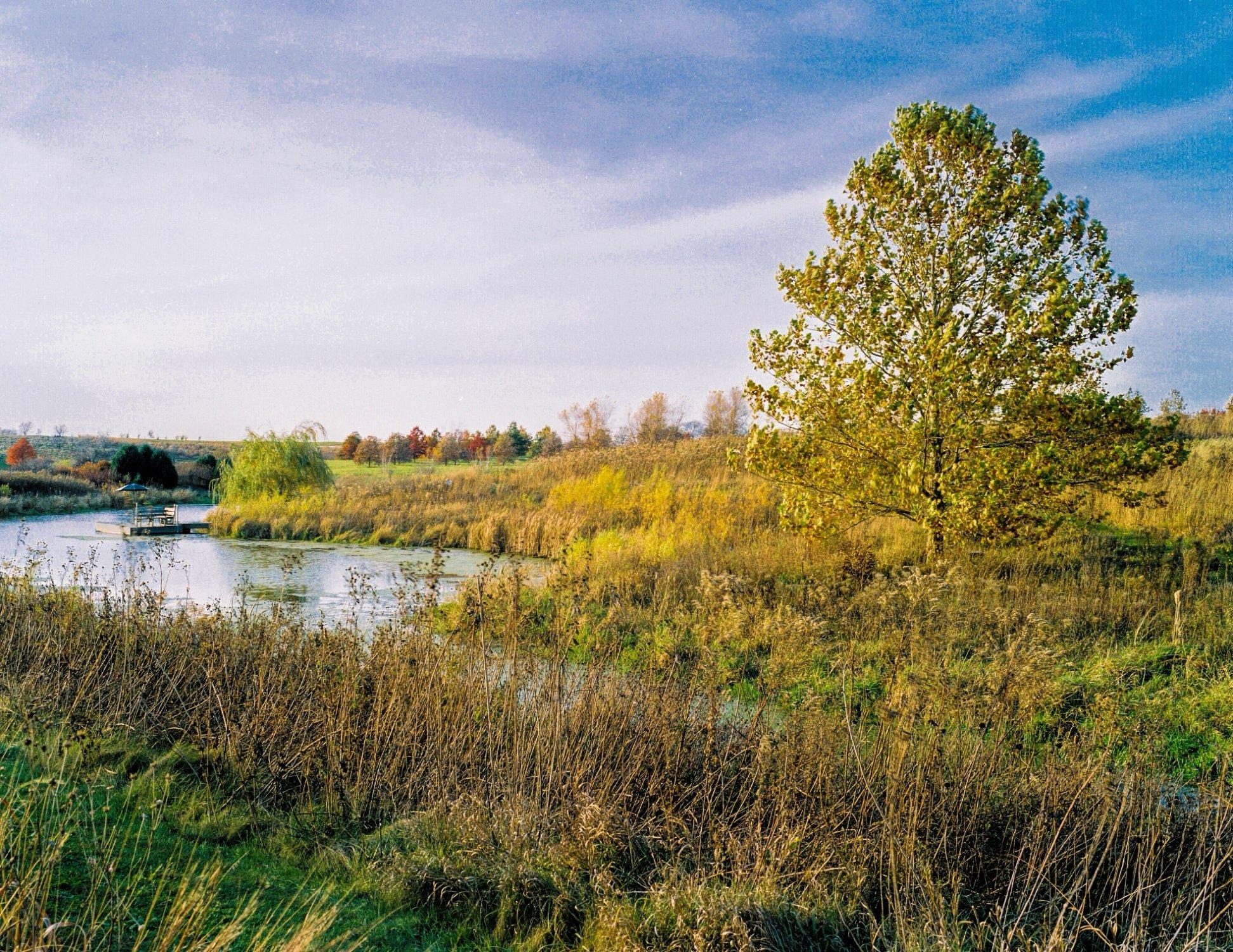 Brenton Arboretum