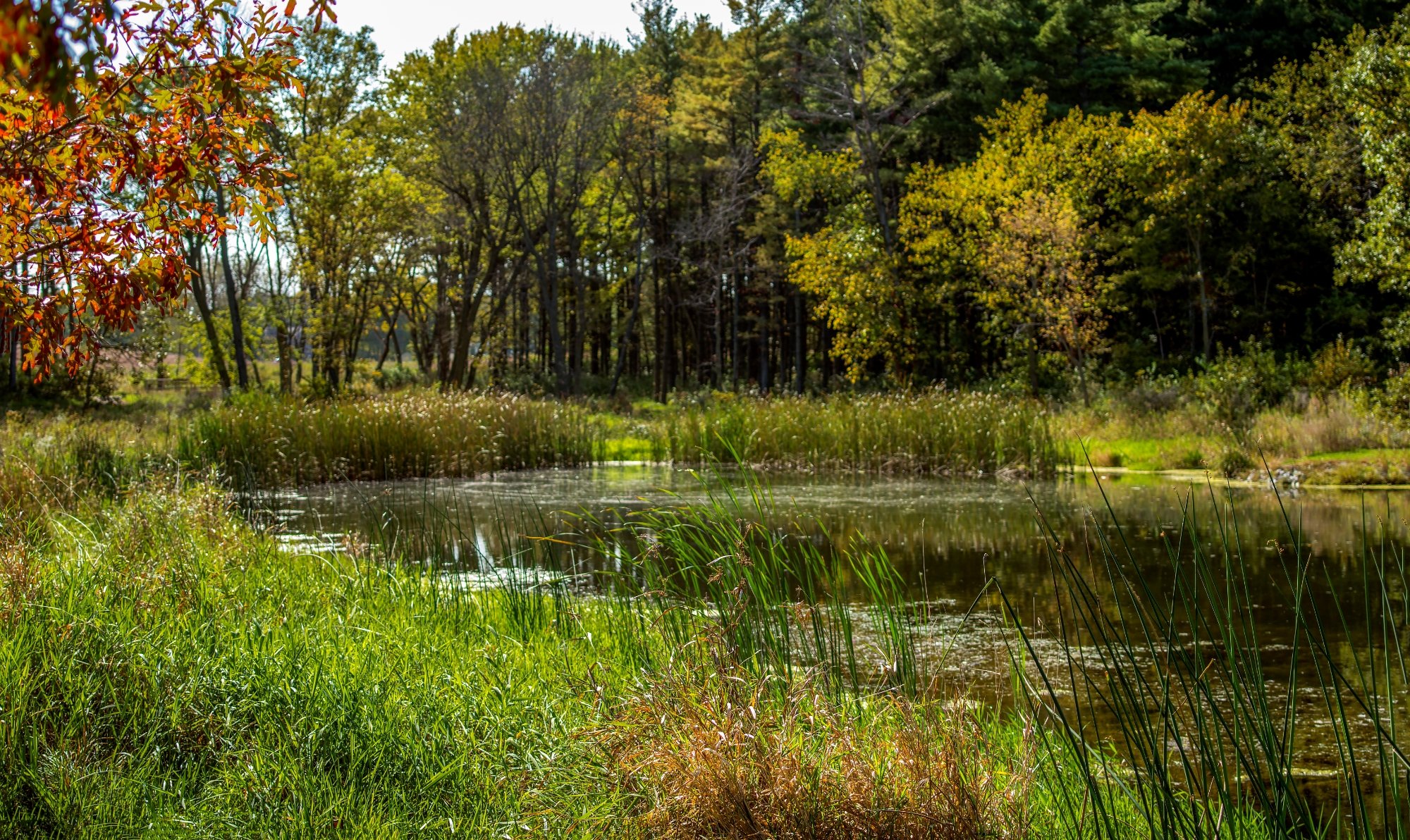 Lewis A. Jester County Park