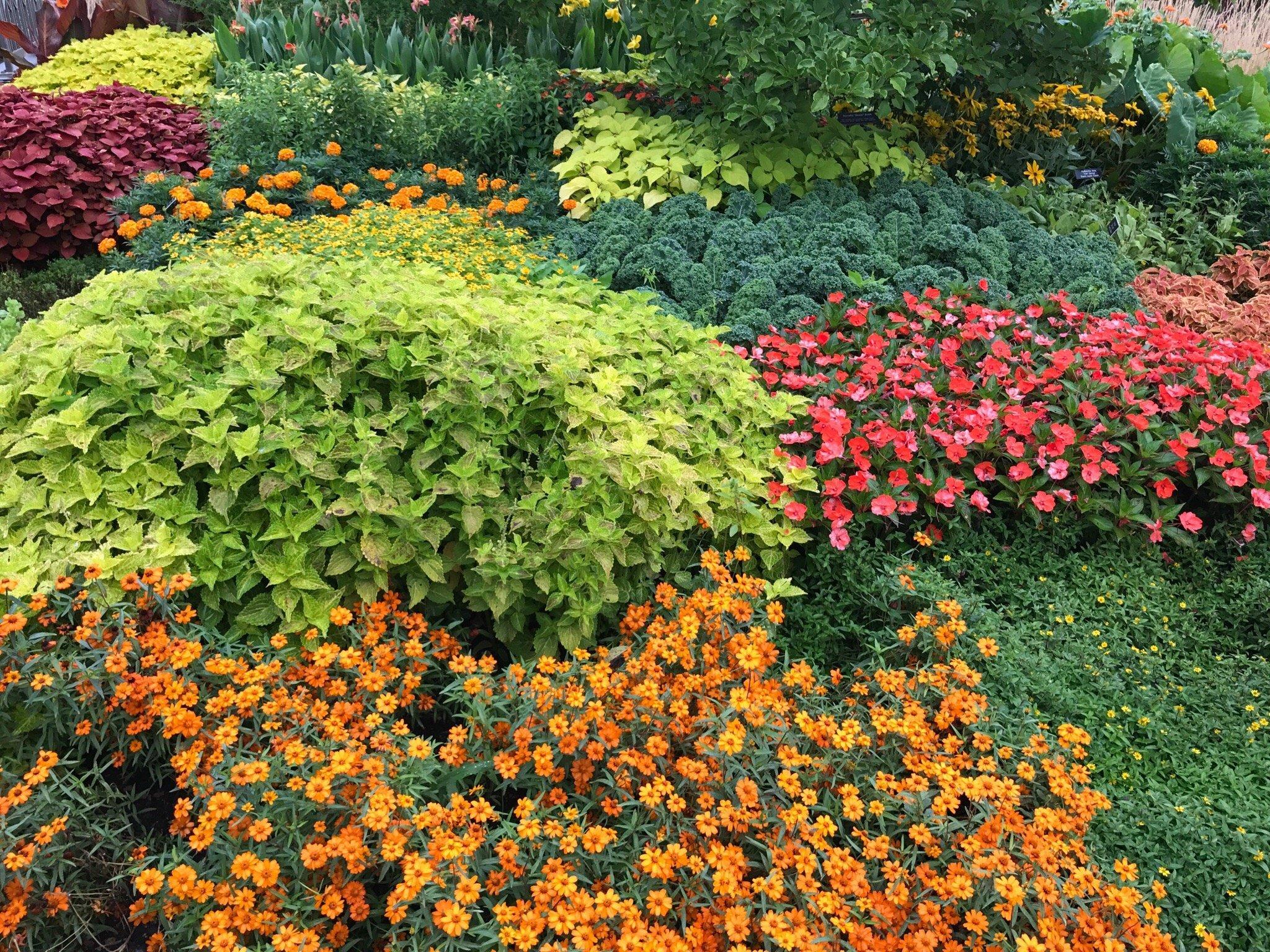 Minnesota Landscape Arboretum