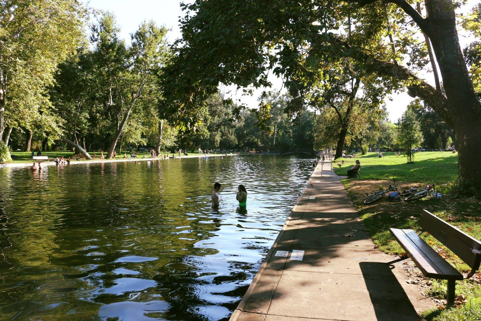 Sycamore Pool