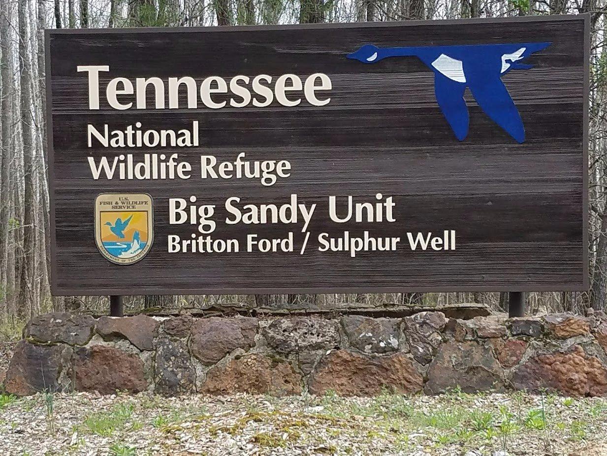 Tennessee National Wildlife Refuge