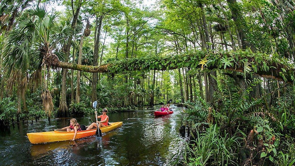 Coconut Kayak Tours