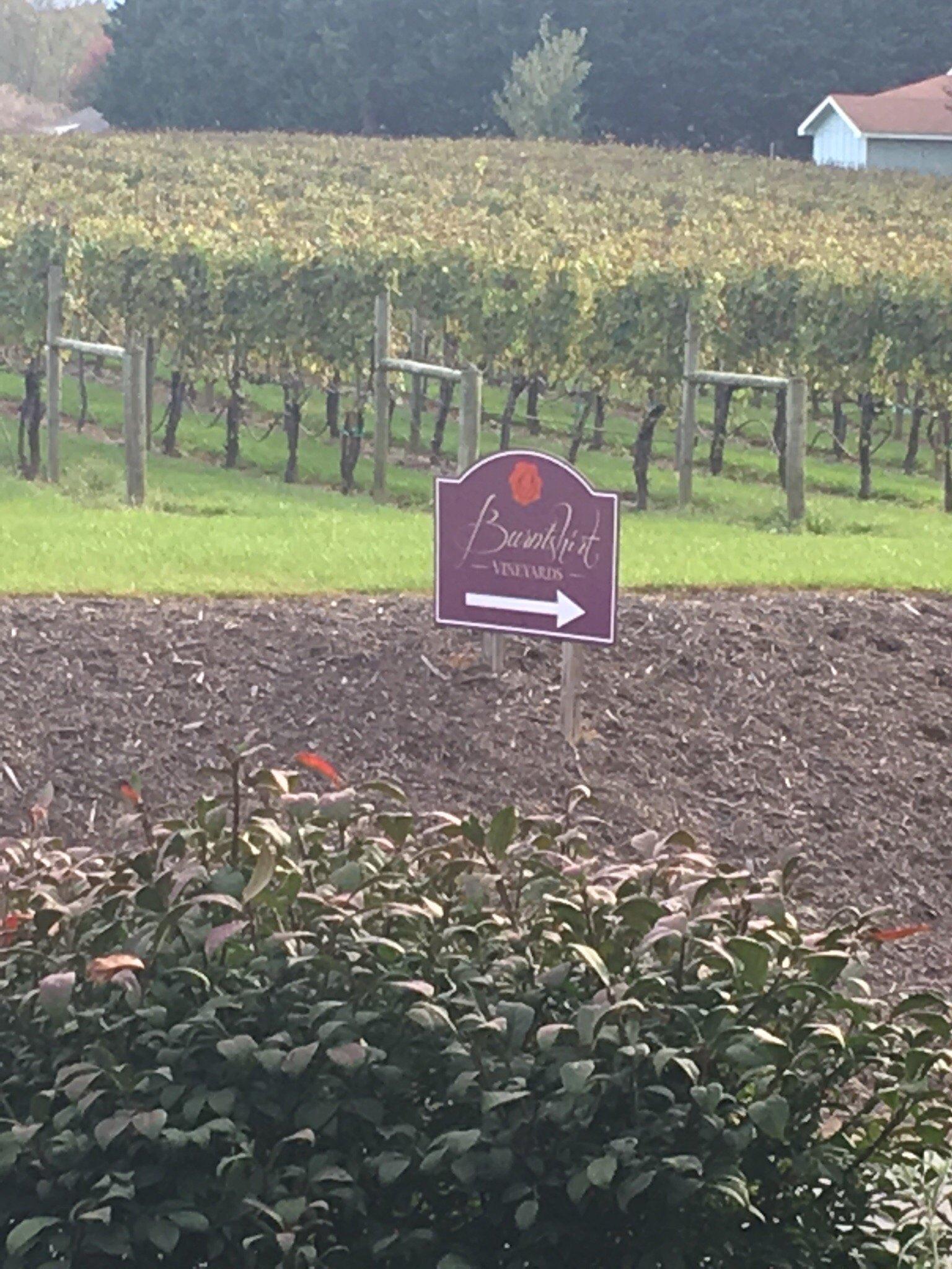 Burntshirt Vineyards