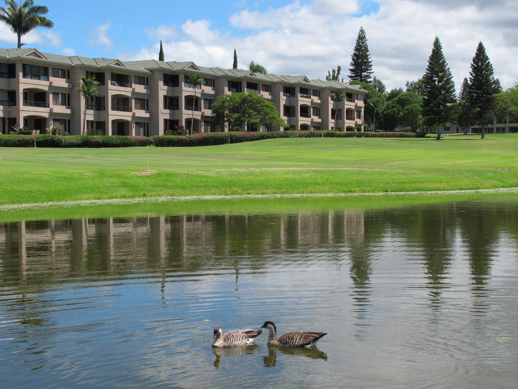 Waikoloa Fairways