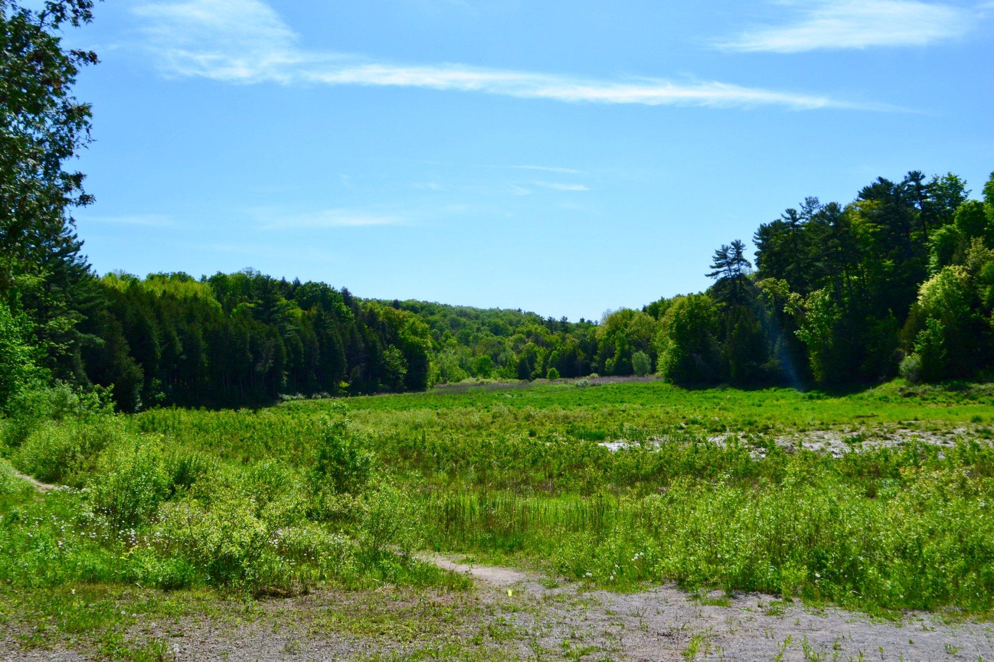 Scanlon Creek Conservation Area