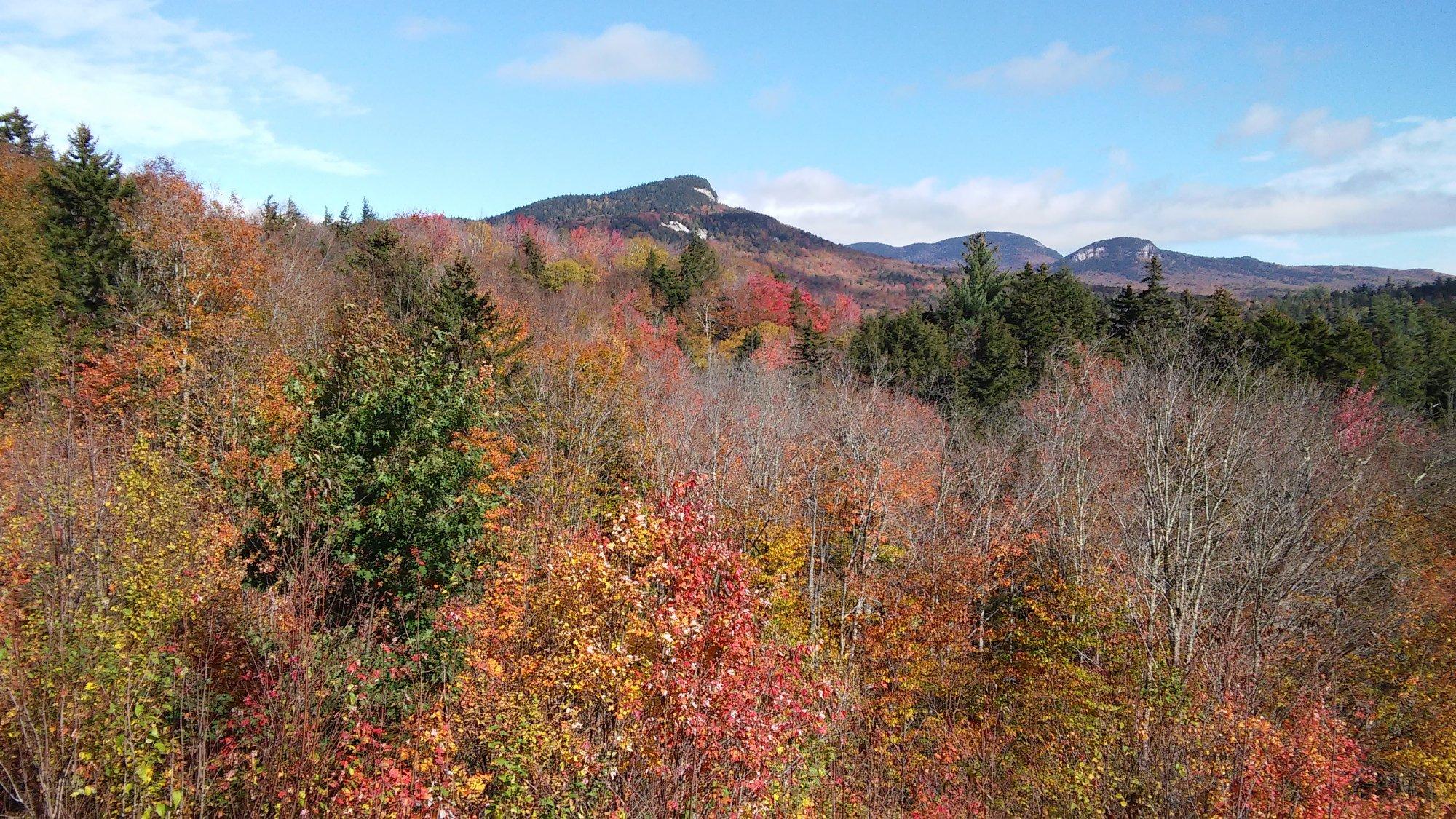 Sugar Hill Scenic Vista