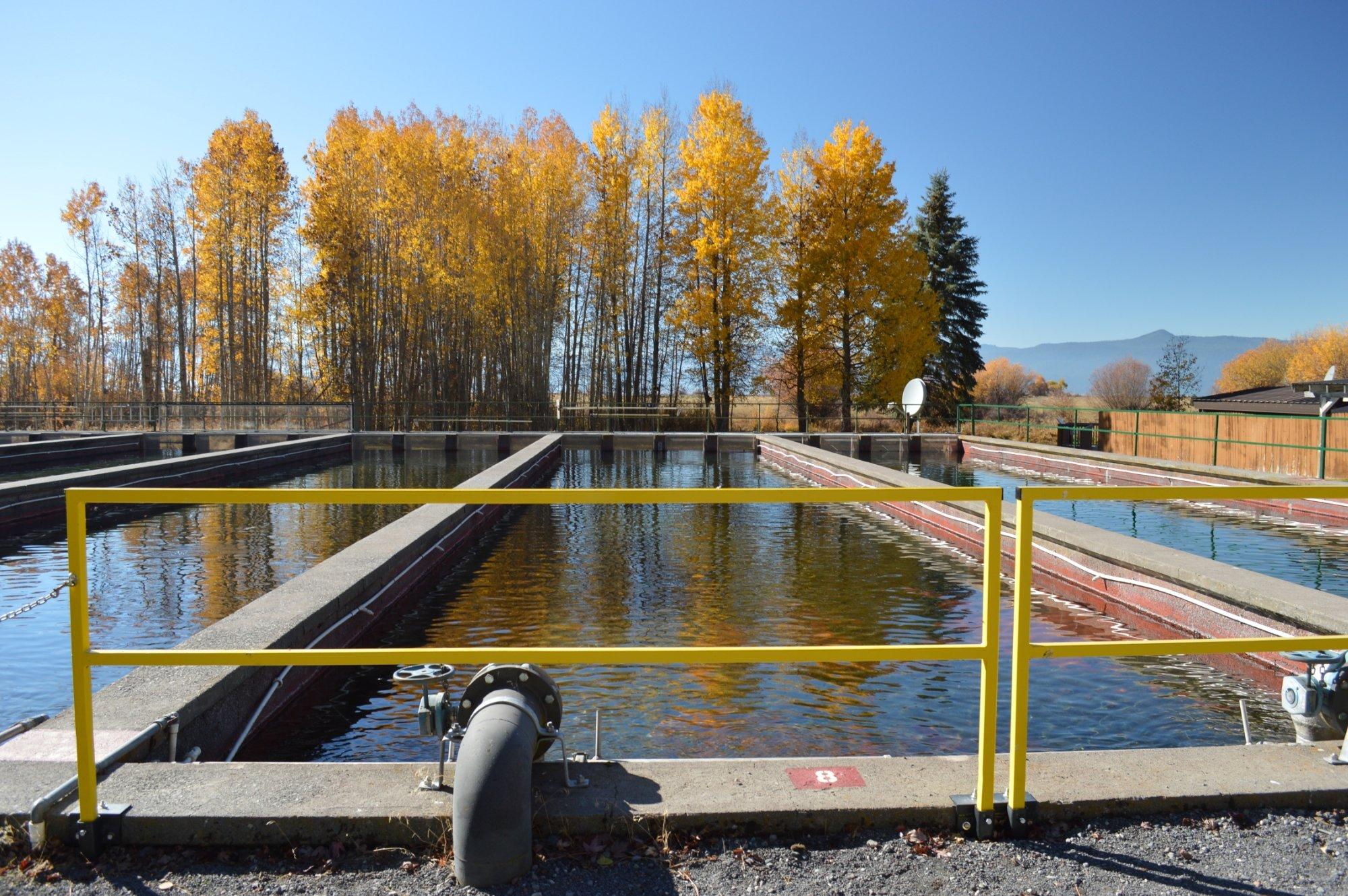 Klamath Fish Hatchery