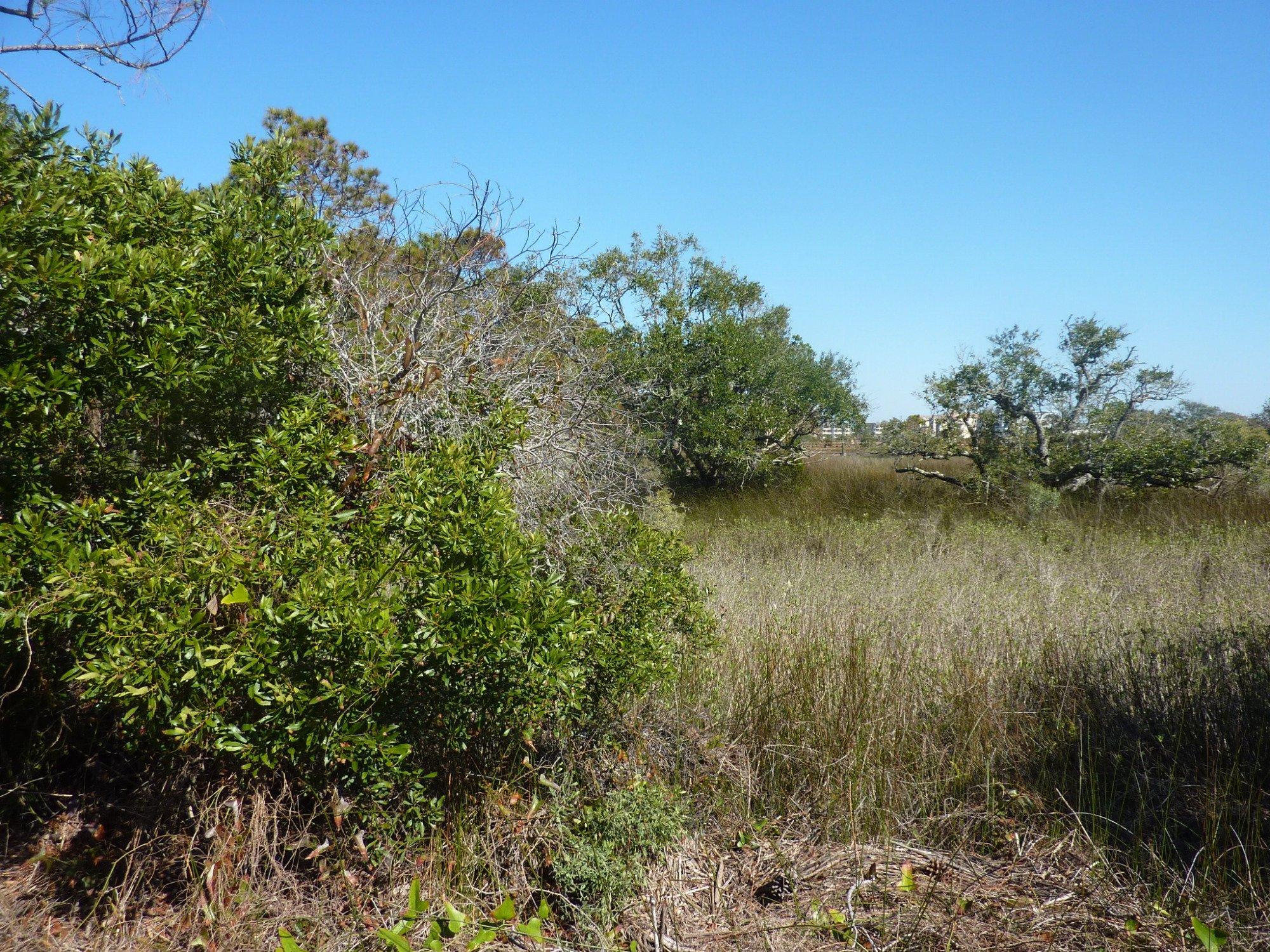 Burkes Beach