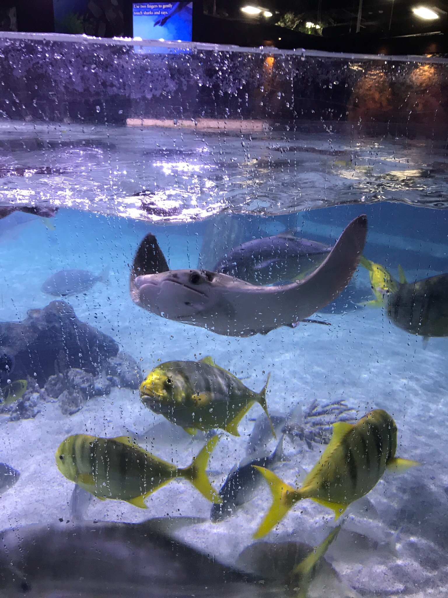 San Antonio Aquarium